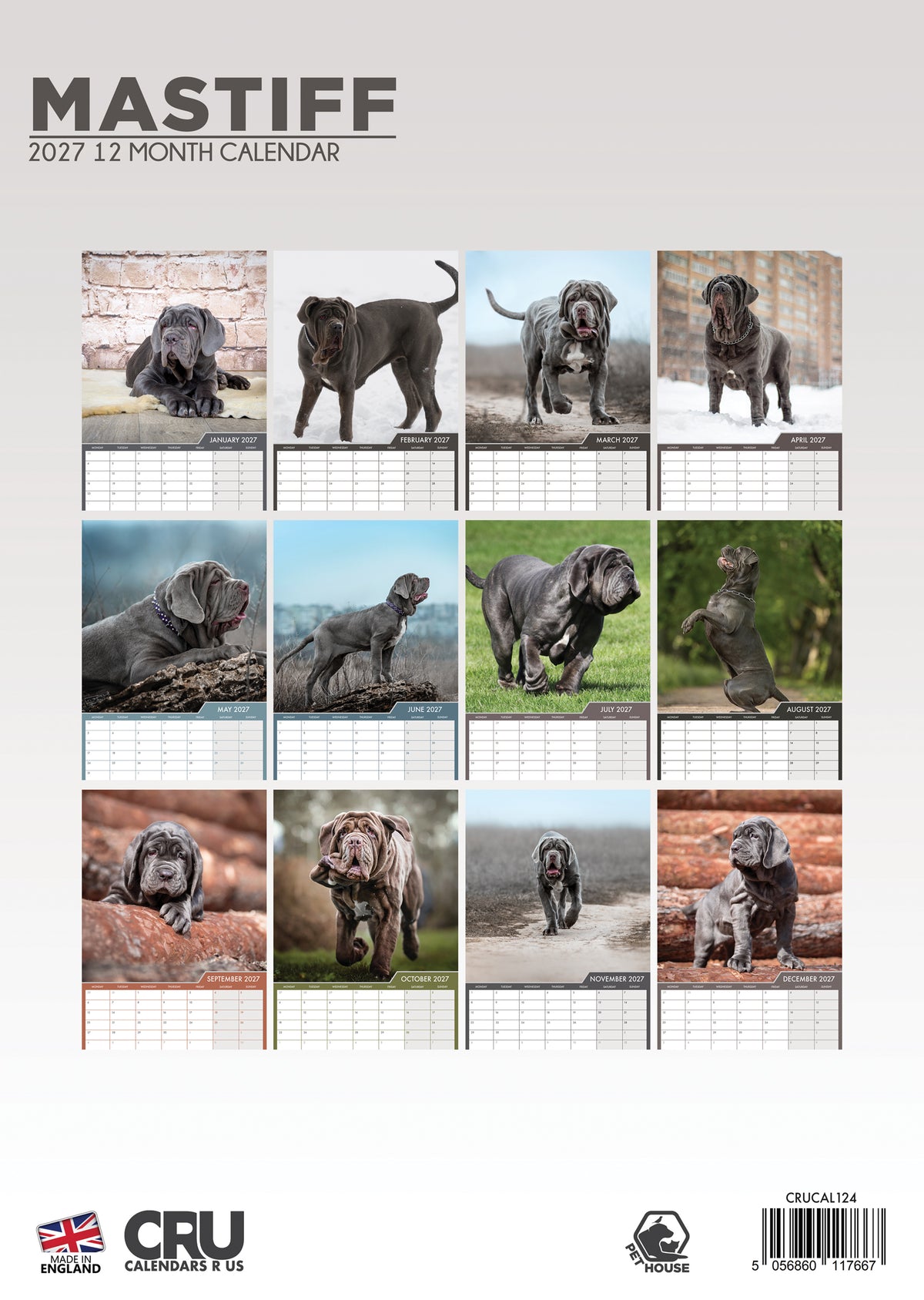 Mastiff Calendar 2027 – Celebrate a Year of Gentle Giants