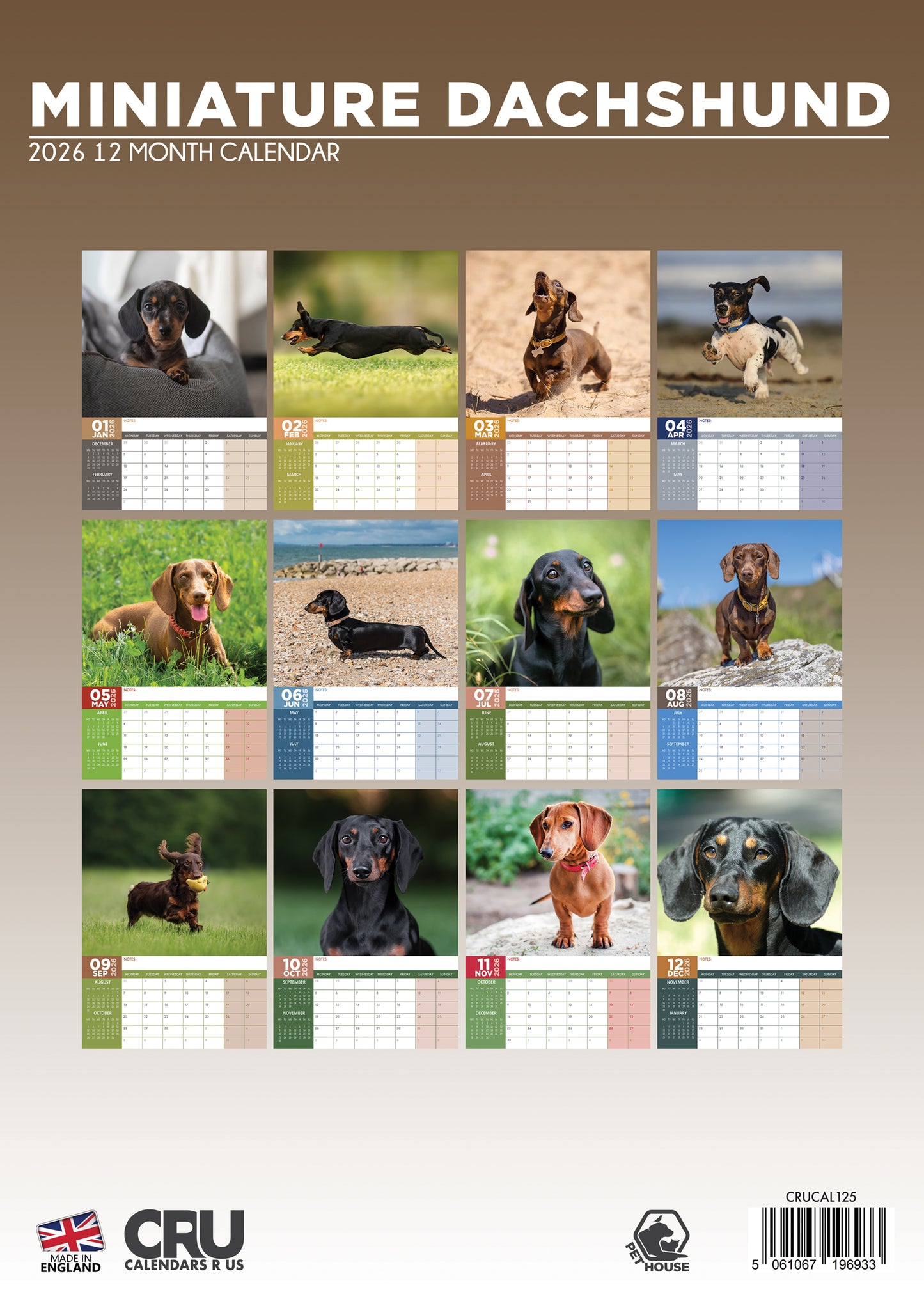 Miniature Dachshund Calendar 2026 – A Year of Dashing Charm