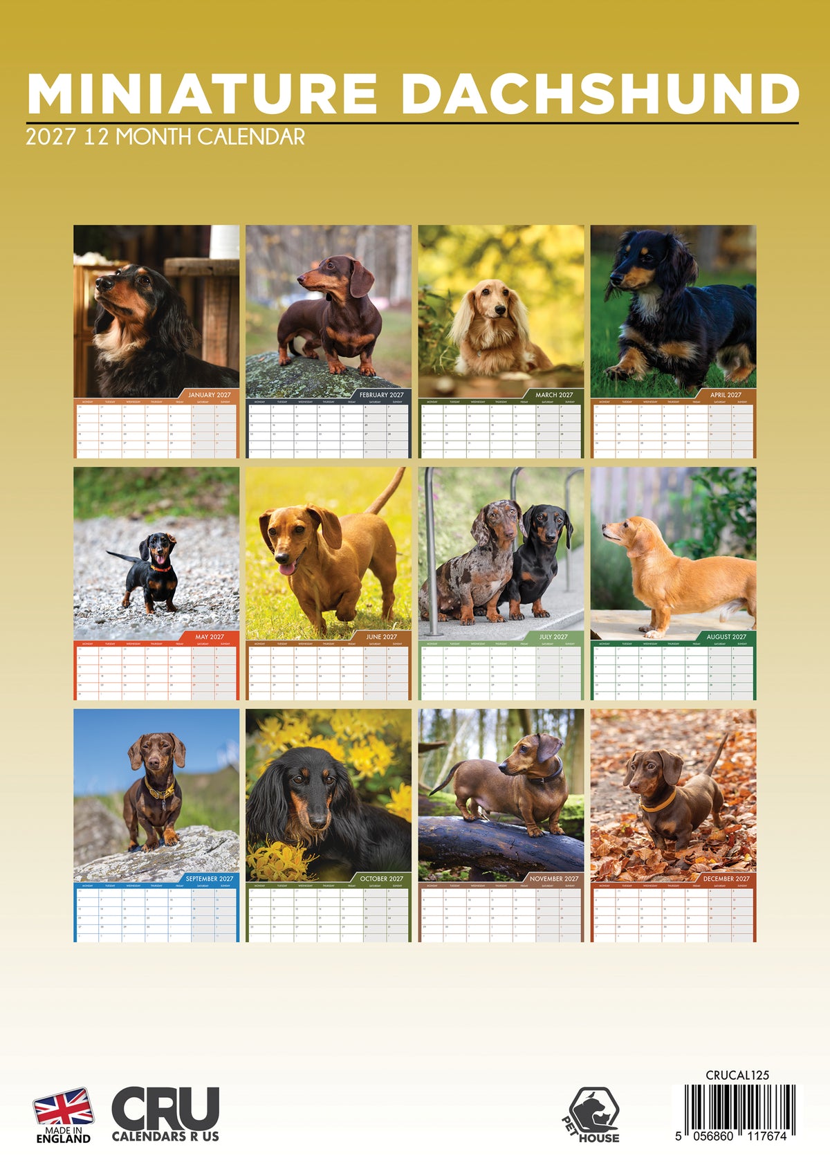 Miniature Dachshund Calendar 2027 – A Year of Dashing Charm