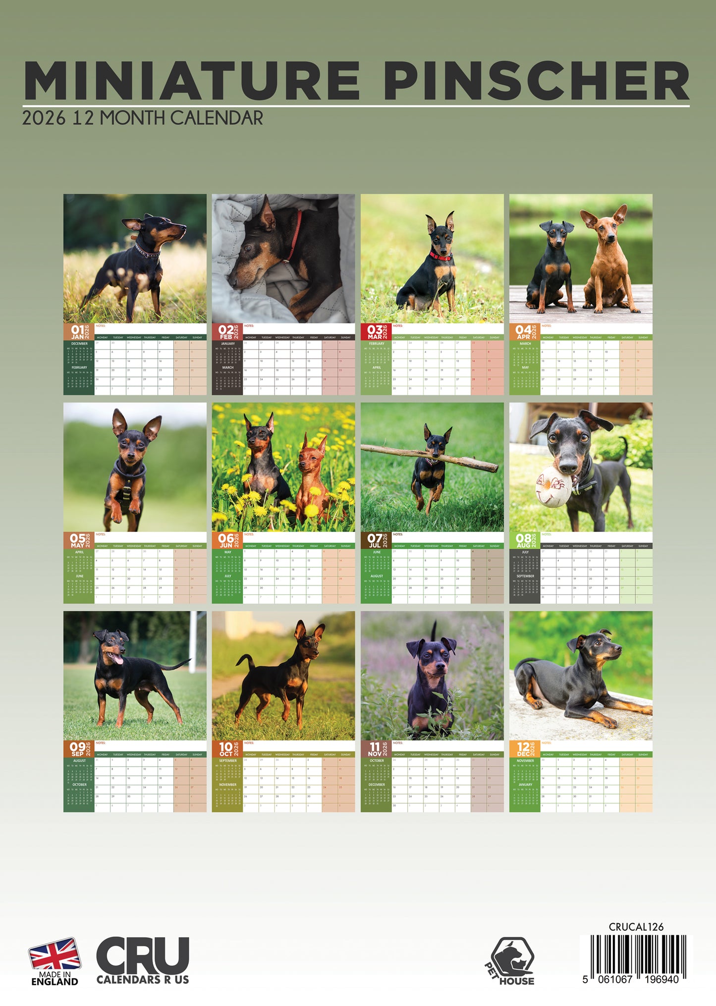 Miniature Pinscher Calendar 2026 – A Year of Bold Personality and Tiny Elegance
