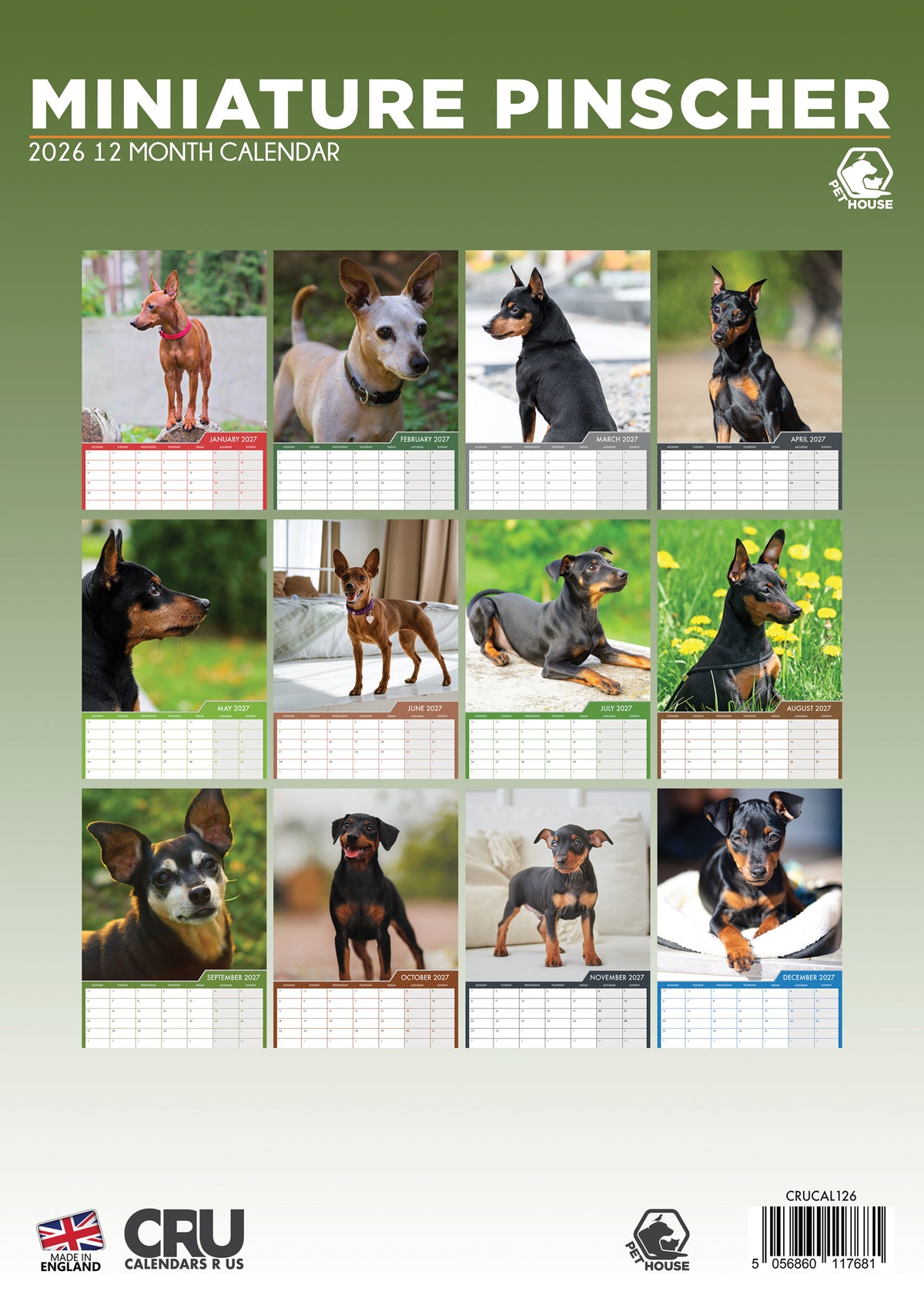 Miniature Pinscher Calendar 2027 – A Year of Bold Personality and Tiny Elegance