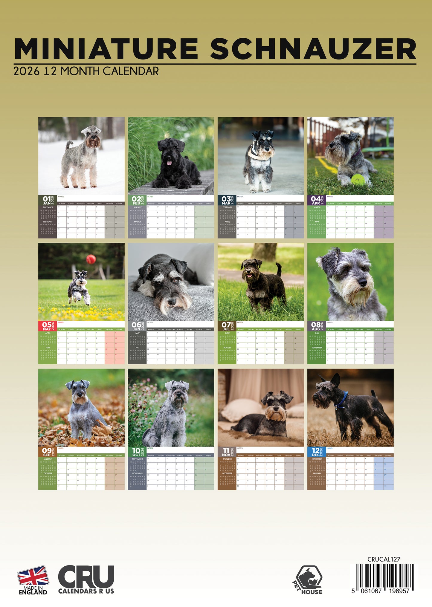 Miniature Schnauzer Calendar 2026 – A Year of Whiskered Charm and Lively Personality
