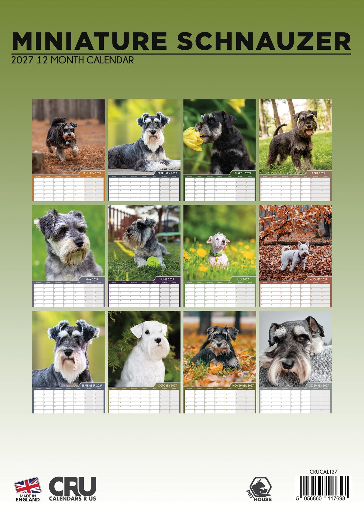 Miniature Schnauzer Calendar 2027 – A Year of Whiskered Charm and Lively Personality
