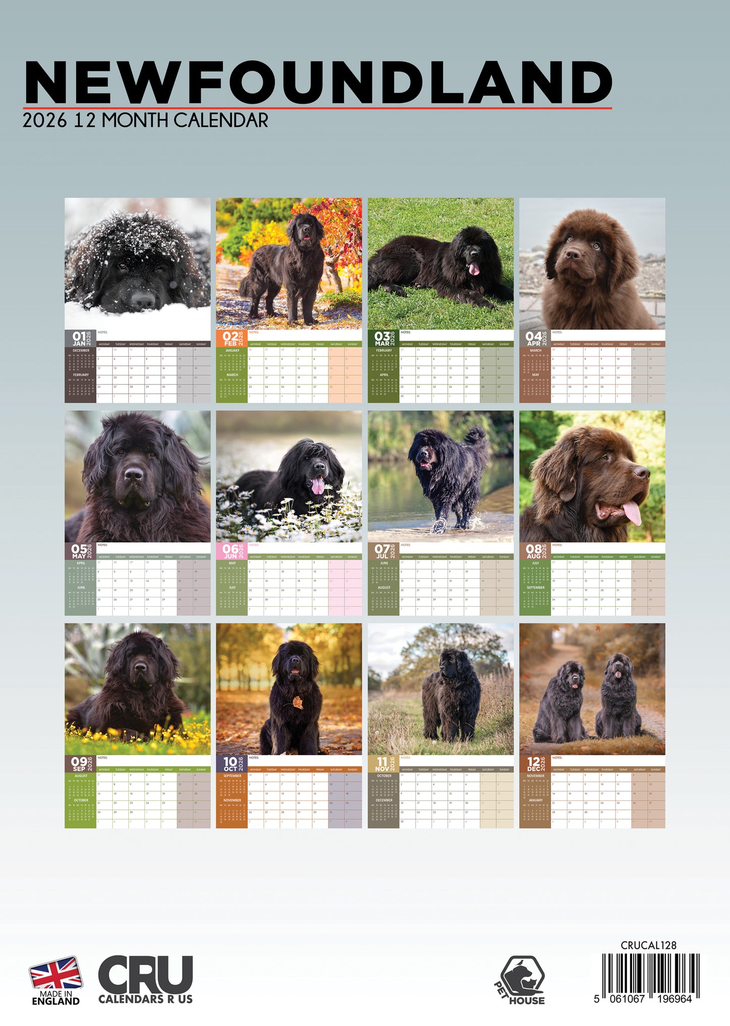 Newfoundland Calendar 2026 – Celebrate a Gentle Giant All Year Long