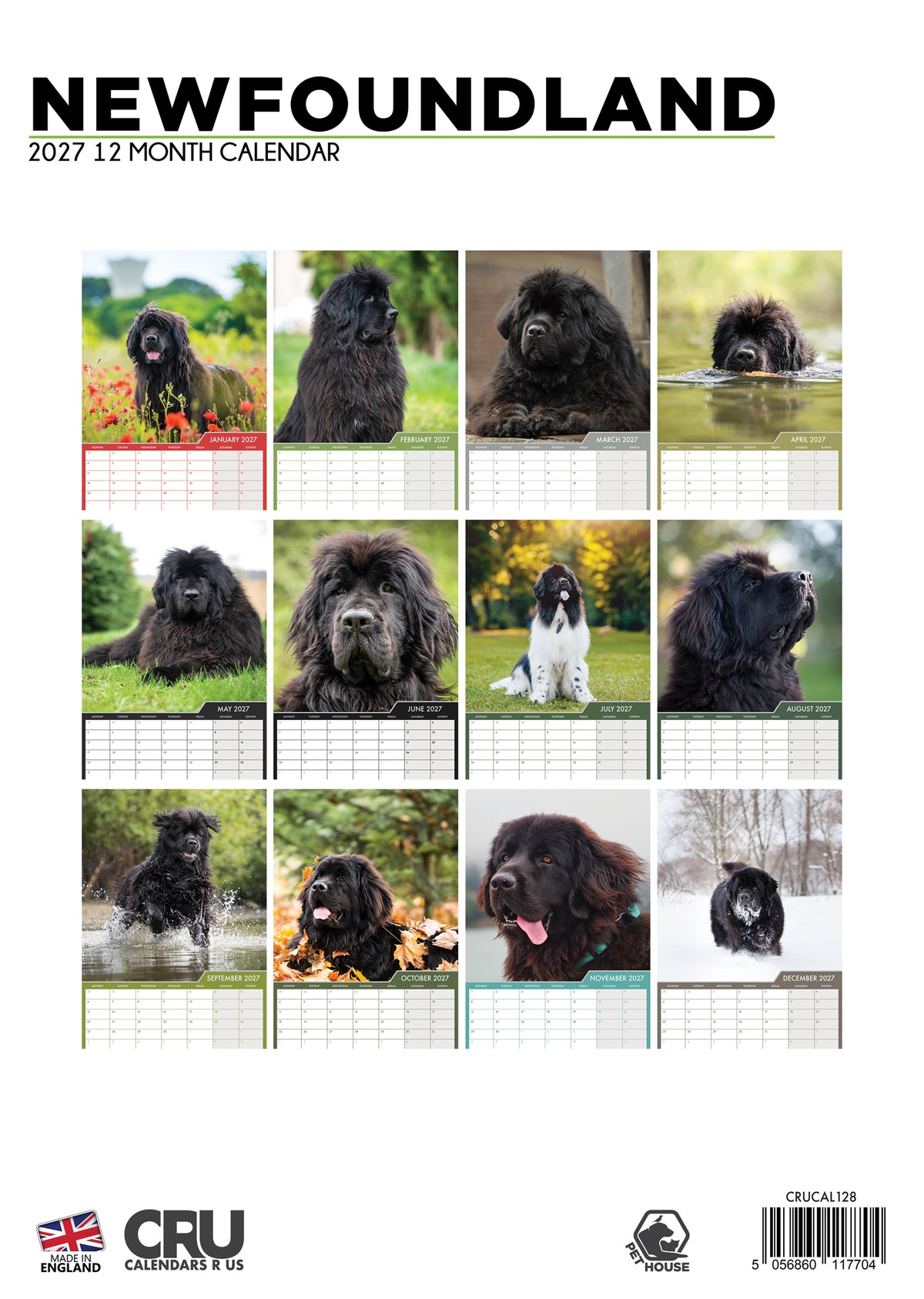 Newfoundland Calendar 2027 – Celebrate a Gentle Giant All Year Long
