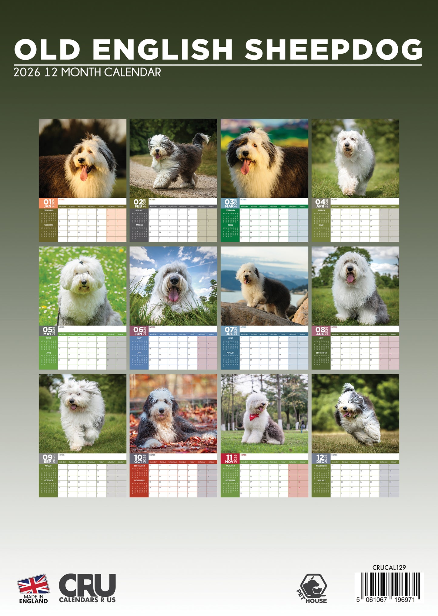Old English Sheepdog Calendar 2026 – A Year of Fluffy Charm