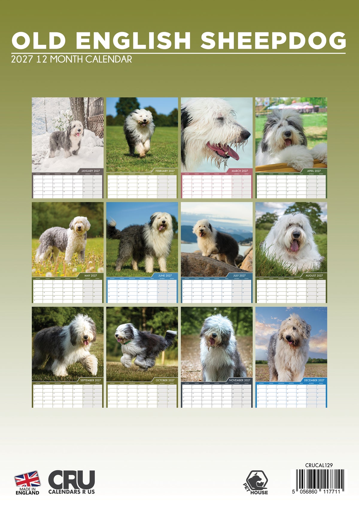 Old English Sheepdog Calendar 2027 – A Year of Fluffy Charm
