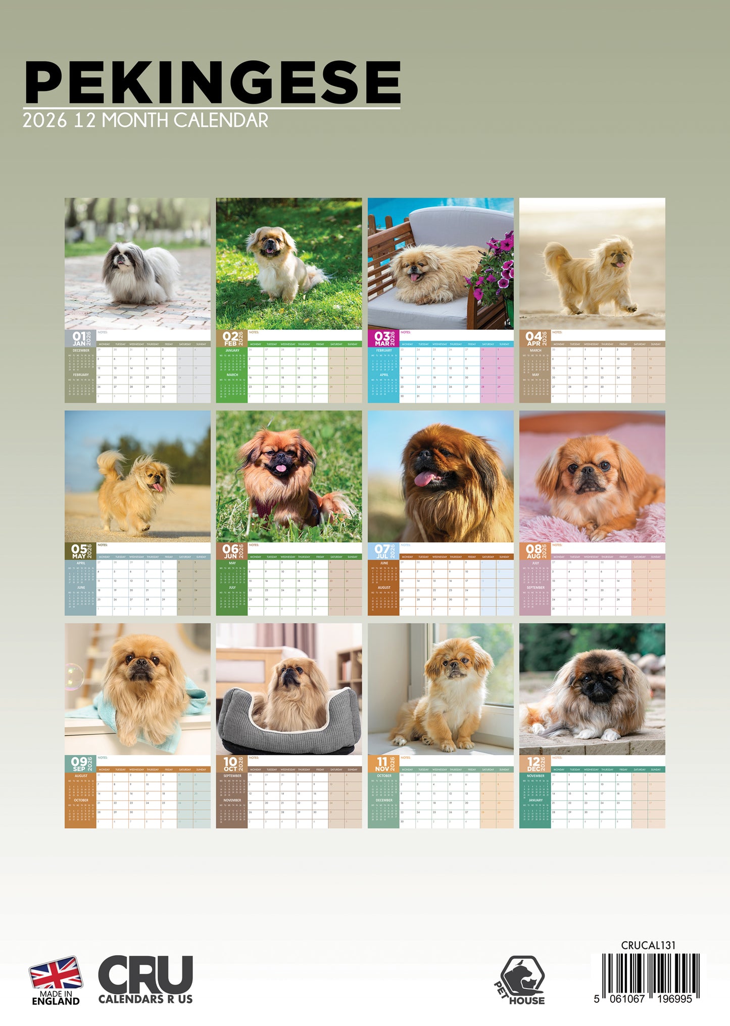 Pekingese Calendar 2026 – A Royal Year of Charm and Fluff