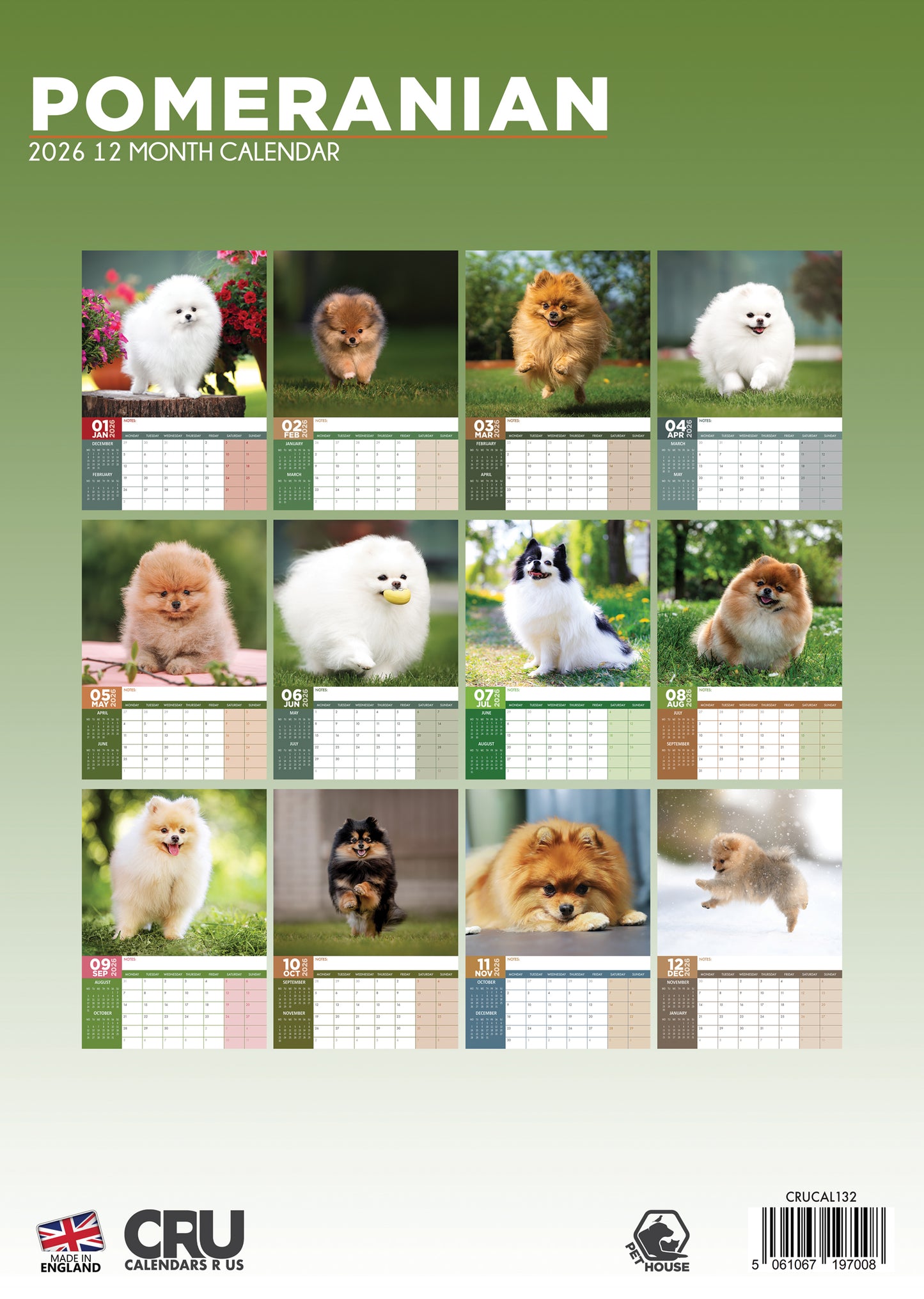 Pomeranian Calendar 2026 – A Year of Fluff and Fun