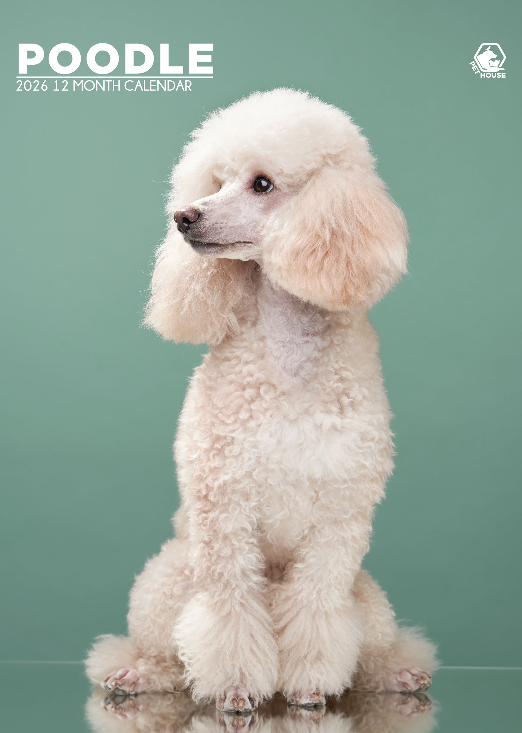 Poodle Calendar 2026 Elegant and Playful MPRA