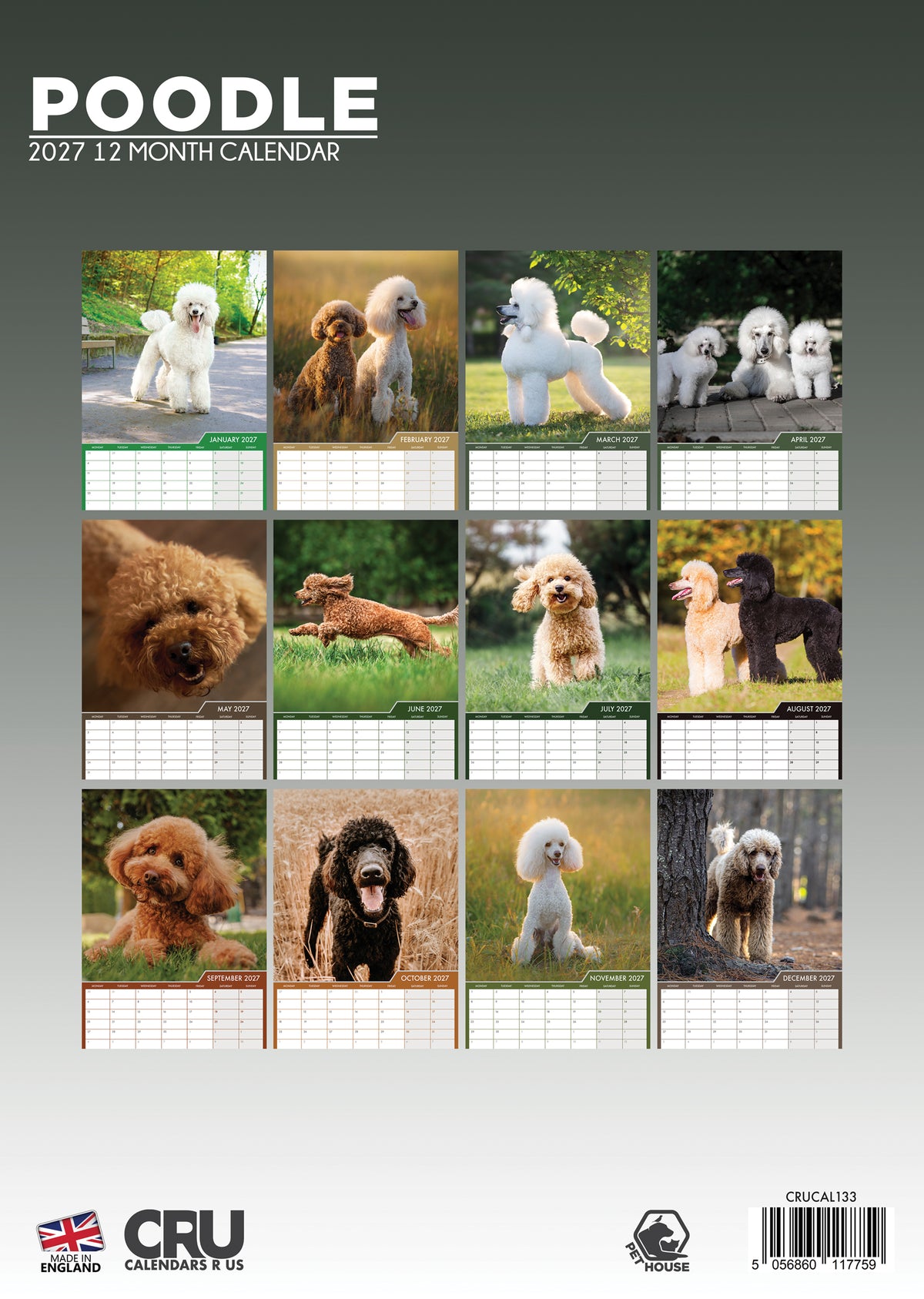 Poodle Calendar 2027 – Elegant and Playful