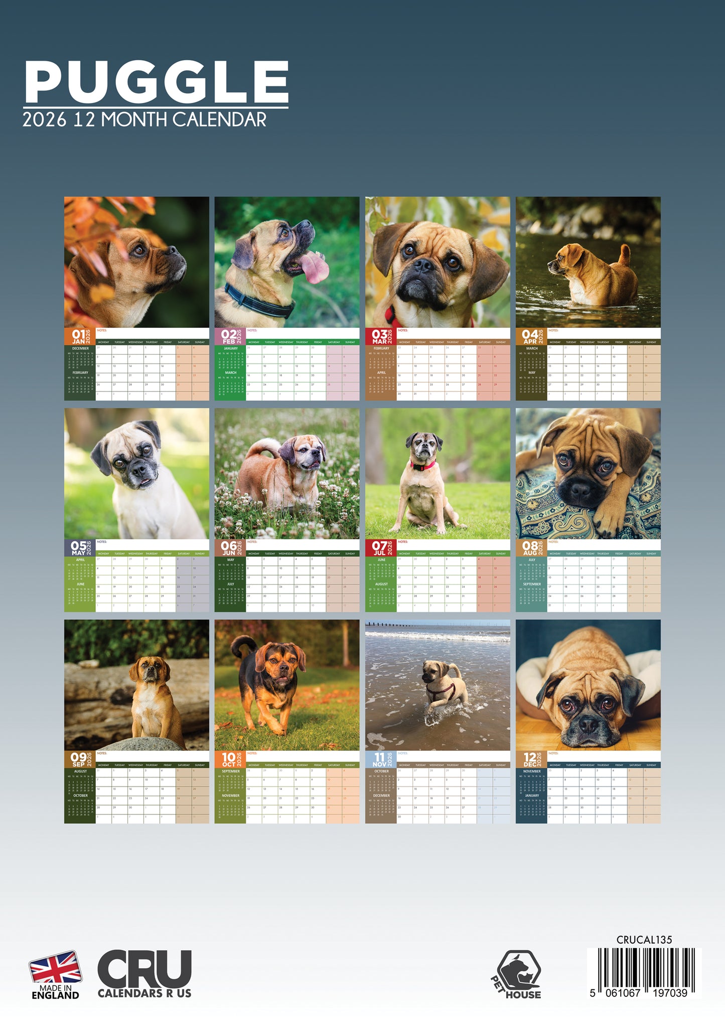 Puggle Calendar 2026 – Adorable and Energetic Companion