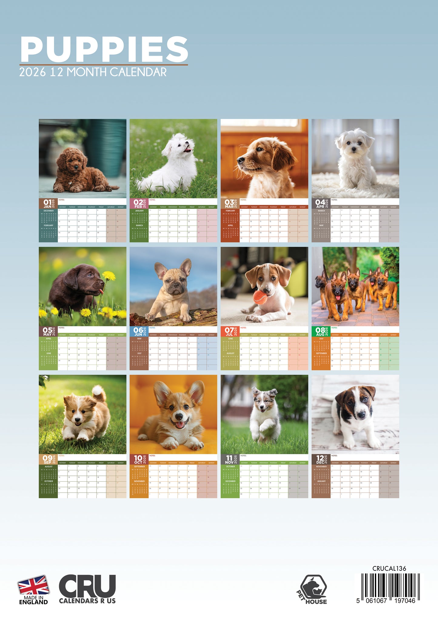 Puppies Calendar 2026 – The Cutest Puppy Moments All Year Long
