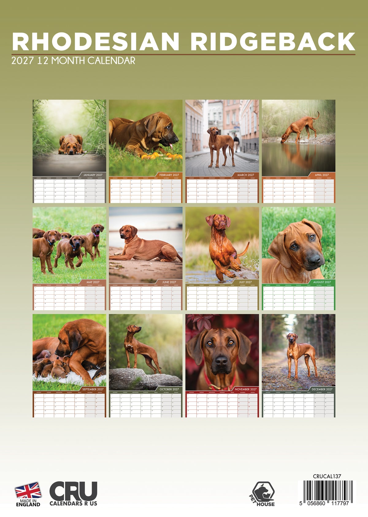 Rhodesian Ridgeback Calendar 2027 – Celebrate the Majestic and Noble Breed