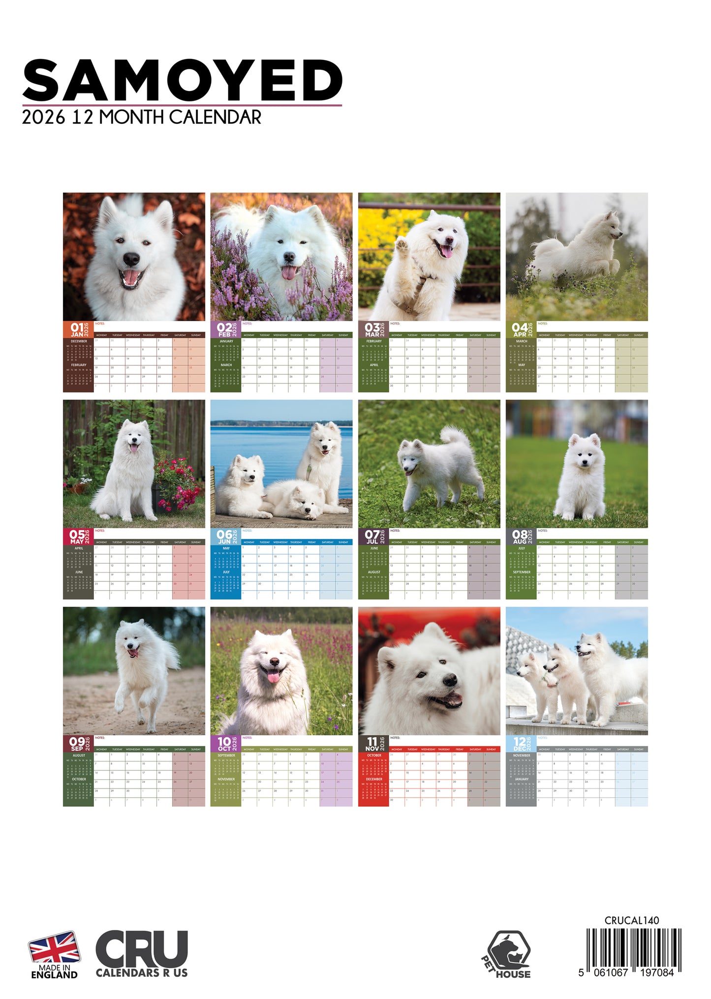 Samoyed Calendar 2026 – Embrace the Fluff and Joy of the Smile Dogs