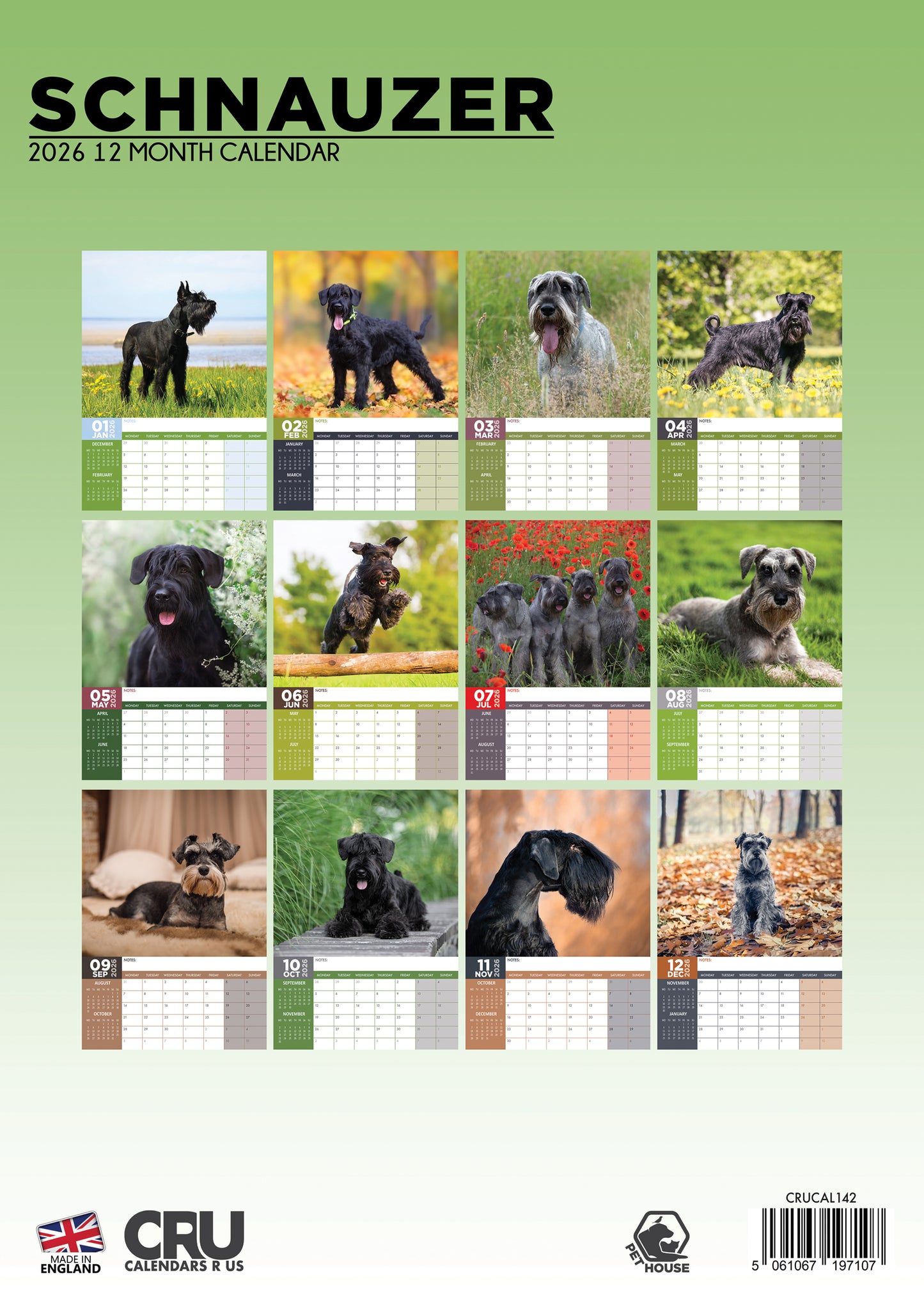 Schnauzer Calendar 2026 – Celebrate the Charming Schnauzer All Year Long