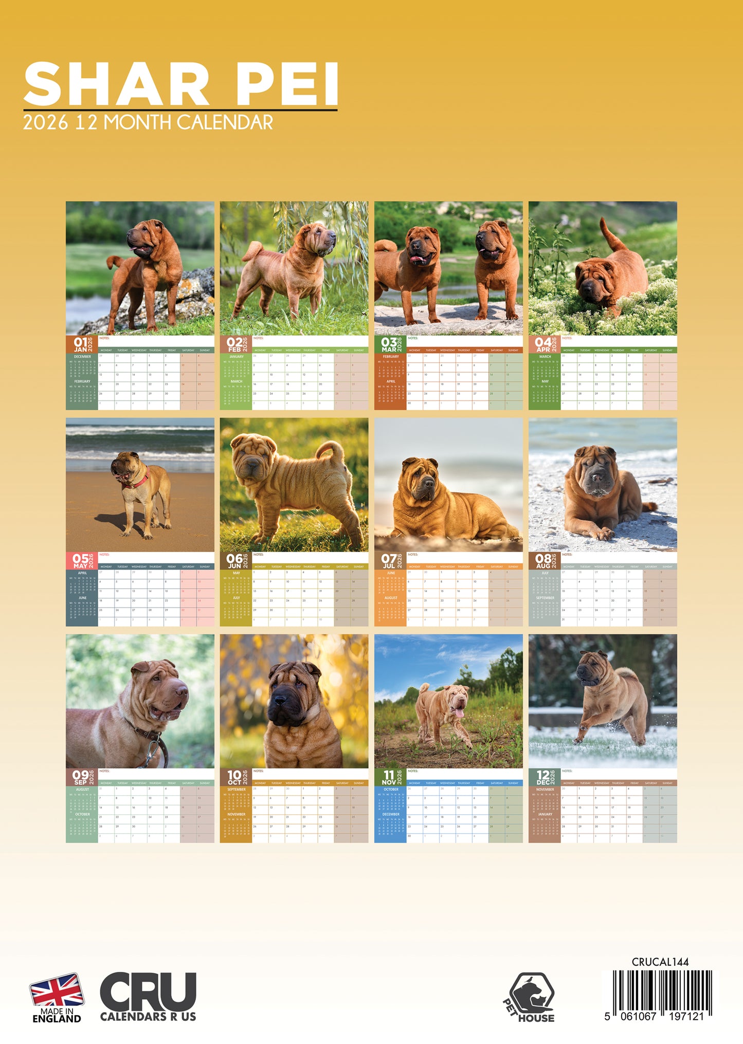 Shar Pei Calendar 2026 – Embrace the Charm of the Wrinkled Wonder