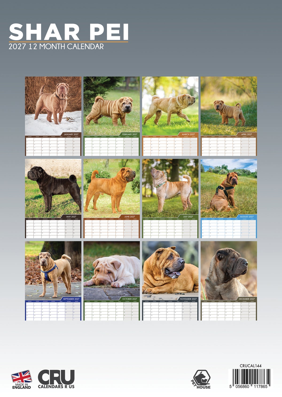Shar Pei Calendar 2027 – Embrace the Charm of the Wrinkled Wonder