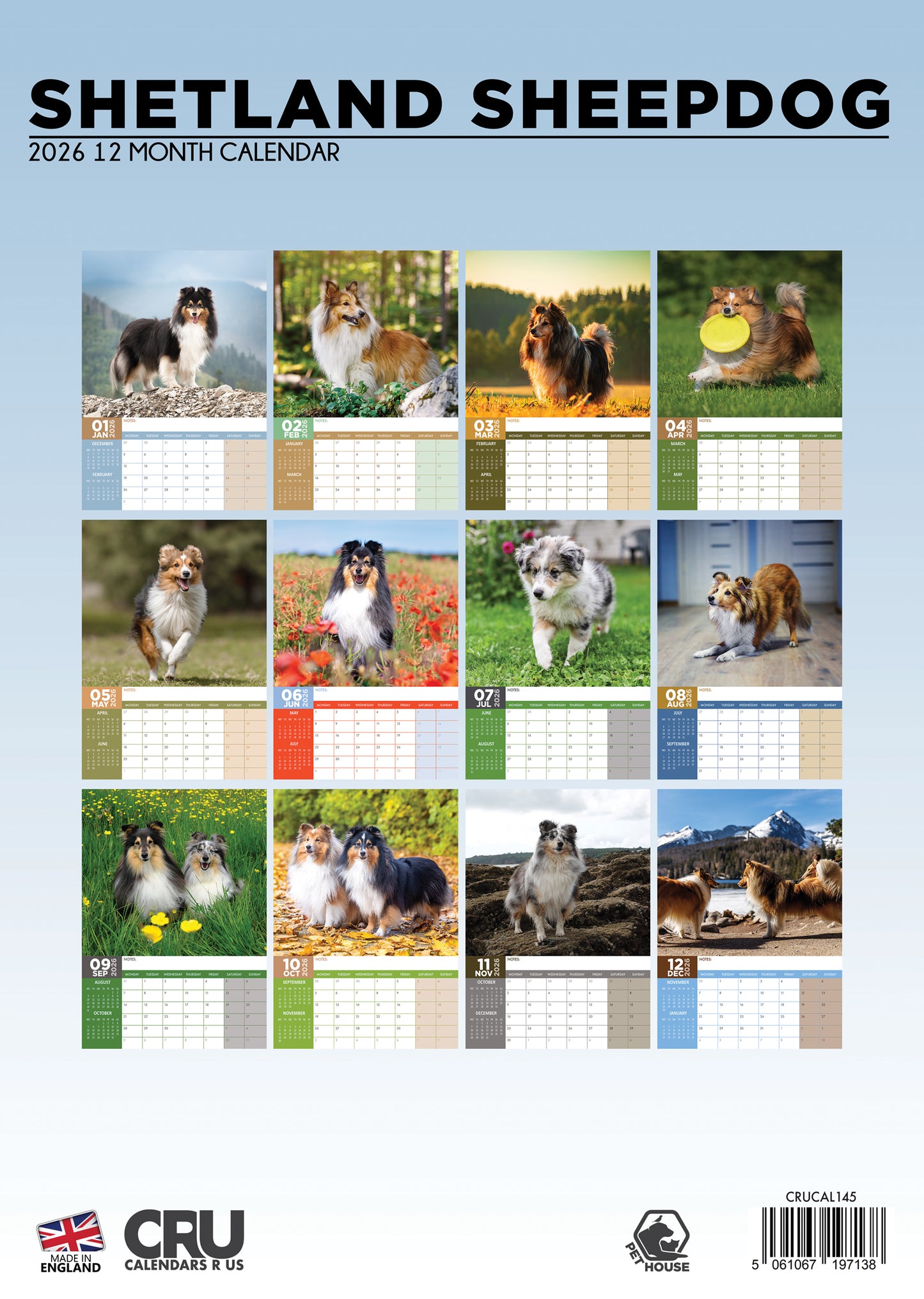 Shetland Sheepdog Calendar 2026 – Celebrate the Smart and Loyal Companion