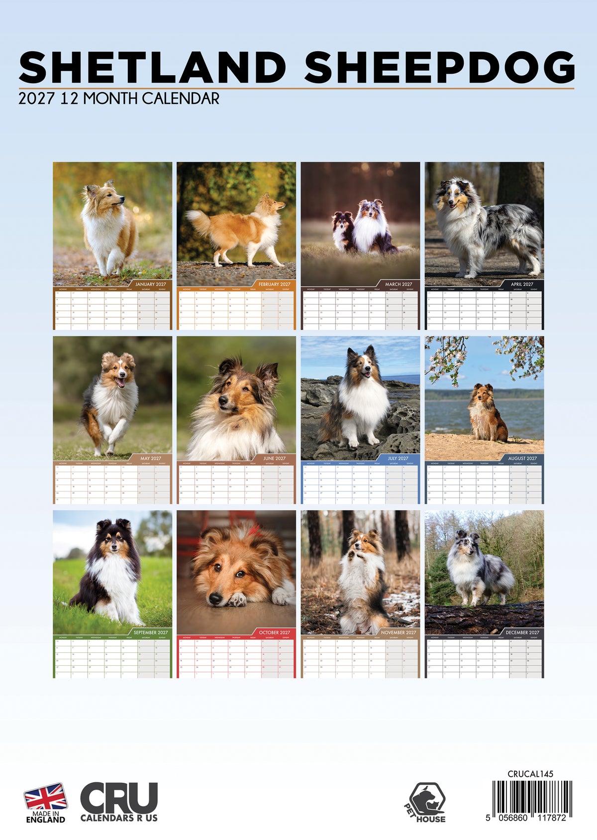 Shetland Sheepdog Calendar 2027 – Celebrate the Smart and Loyal Companion
