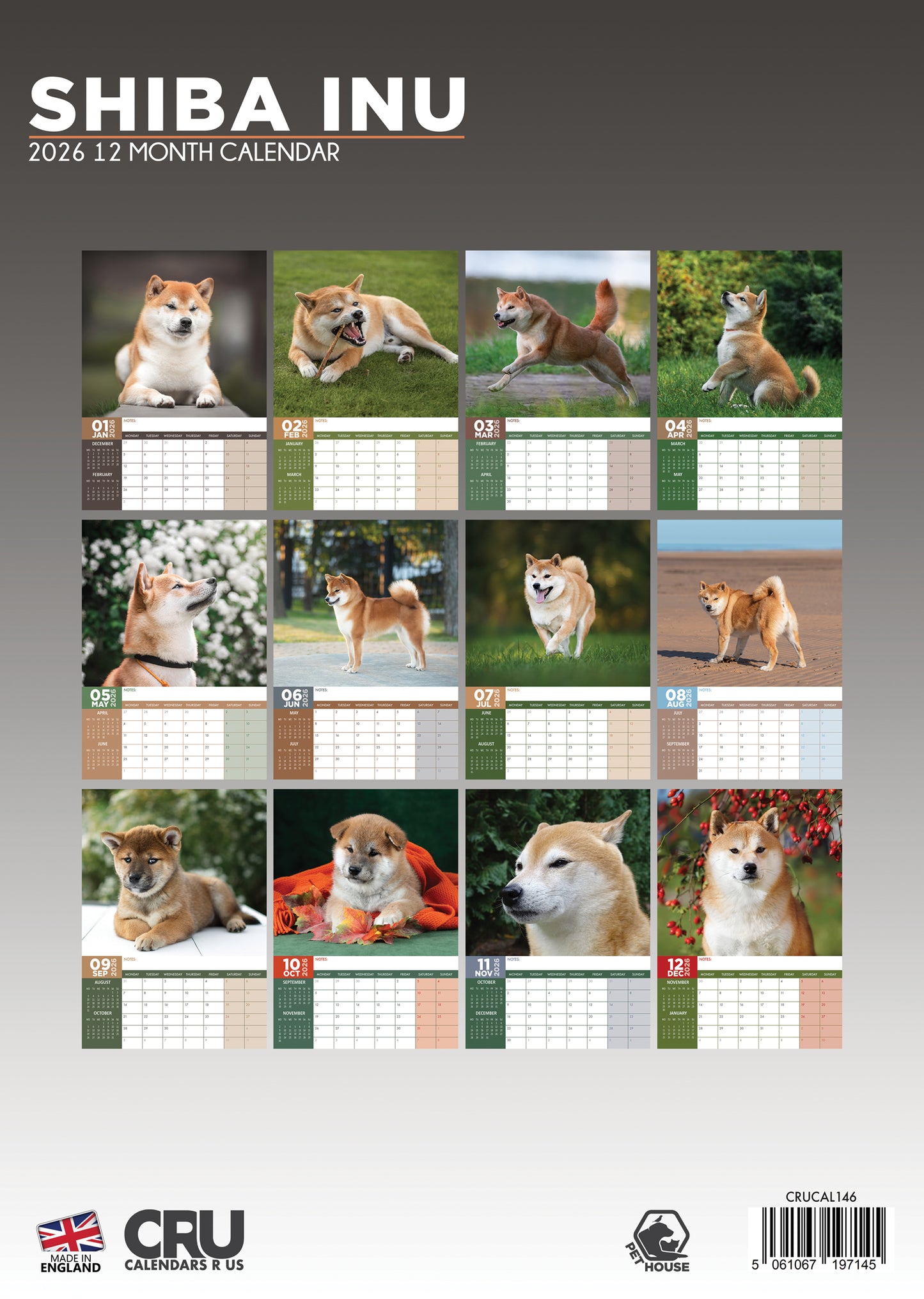 Shiba Inu Calendar 2026 – Celebrate the Independent and Spirited Breed