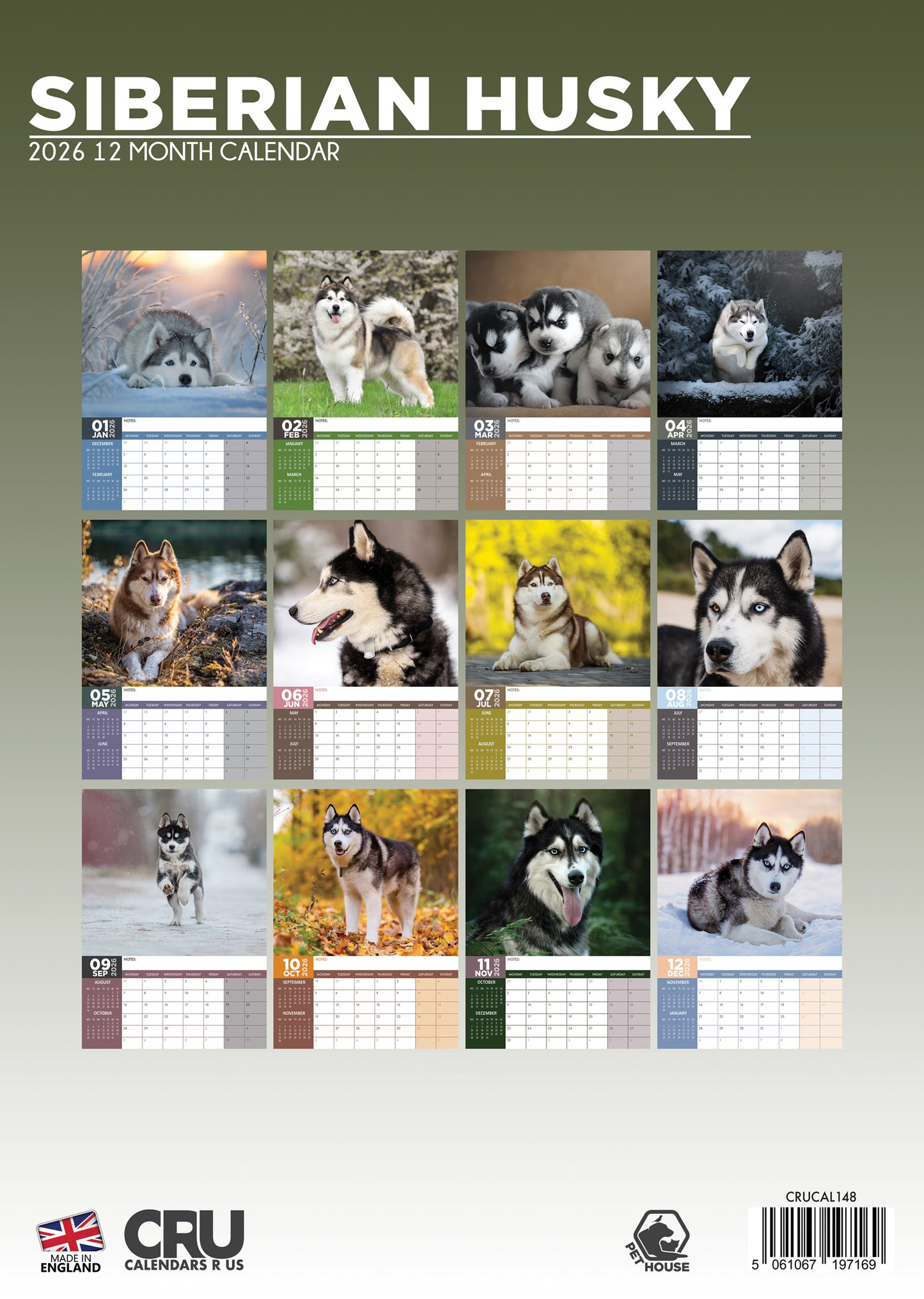 Siberian Husky Calendar 2026 – Bold, Beautiful, and Majestic All Year Round