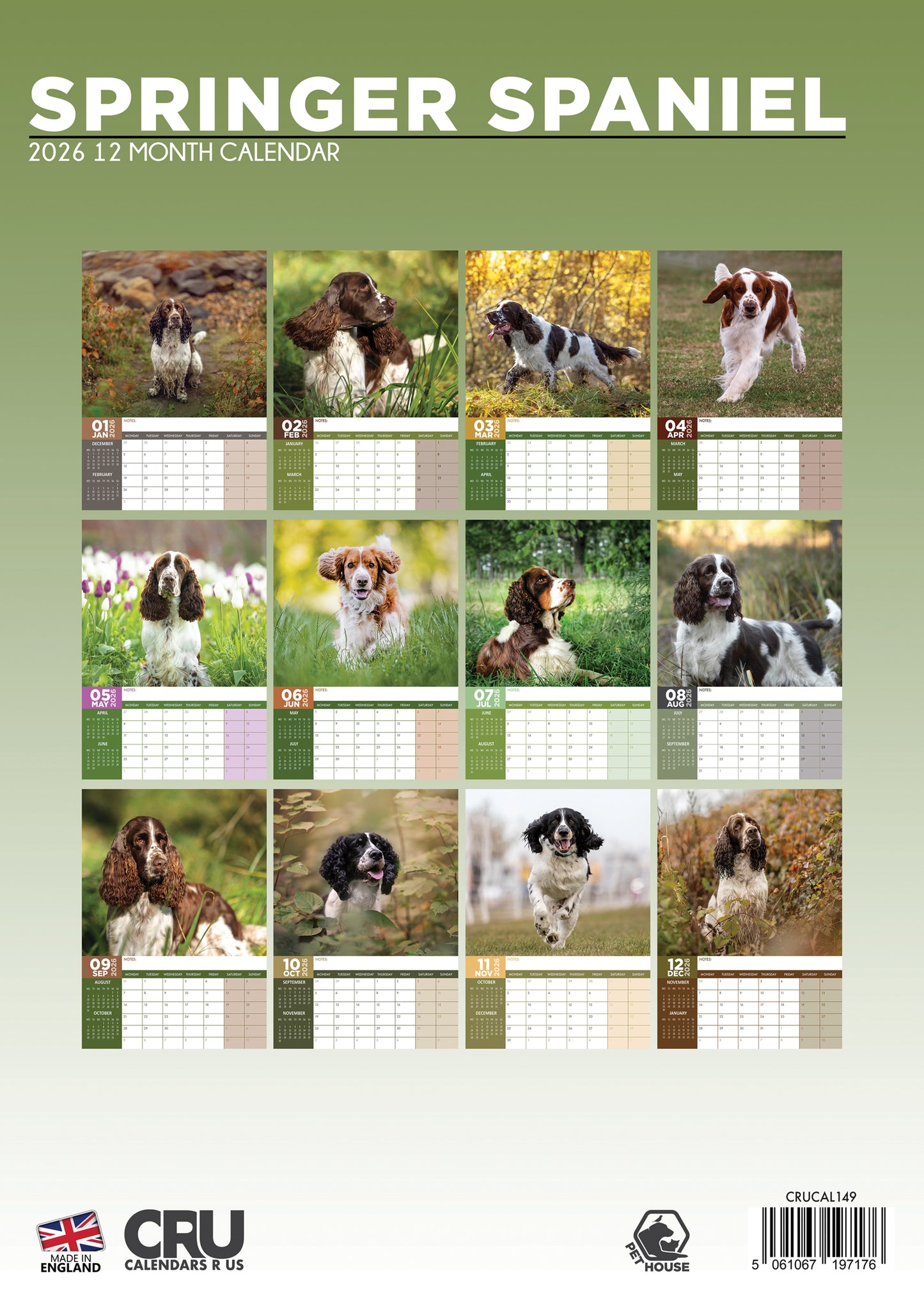 Springer Spaniel Calendar 2026 – Celebrate the Joyful Energy of Your Favorite Companion