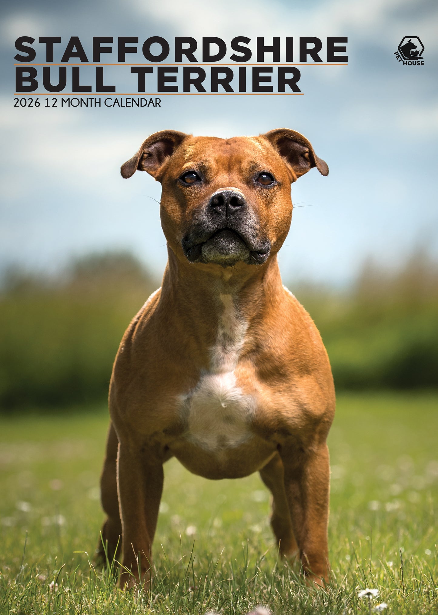 Staffordshire Bull Terrier Calendar 2026 – A Year of Strength, Loyalty & Smiles