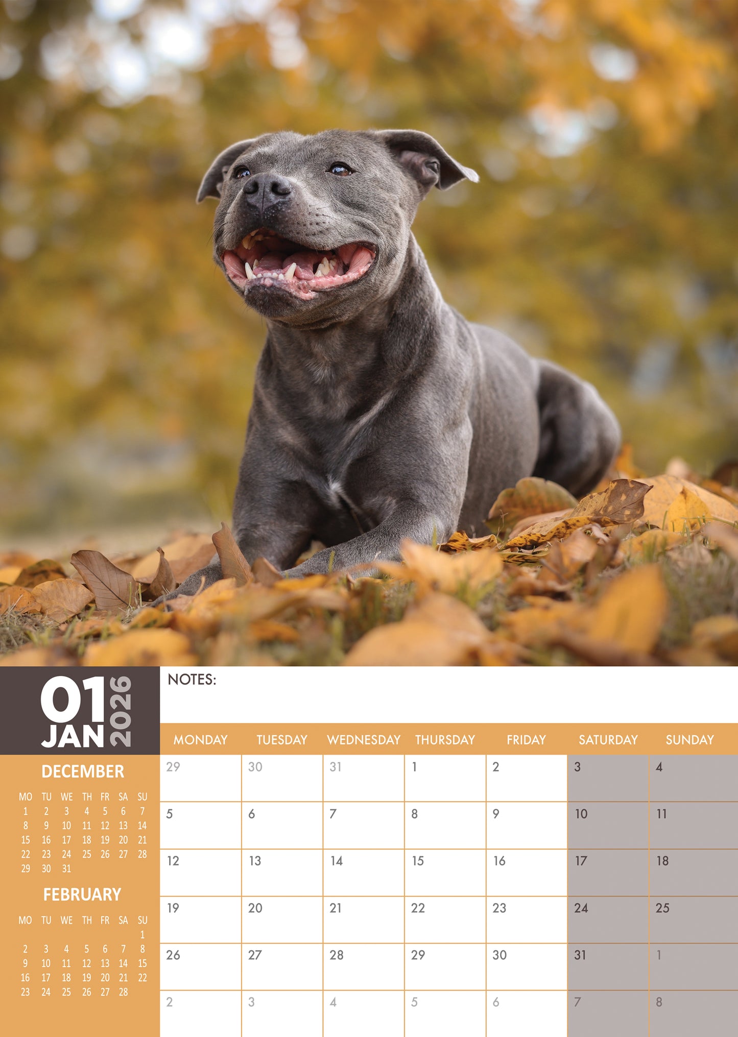 Staffordshire Bull Terrier Calendar 2026 – A Year of Strength, Loyalty & Smiles