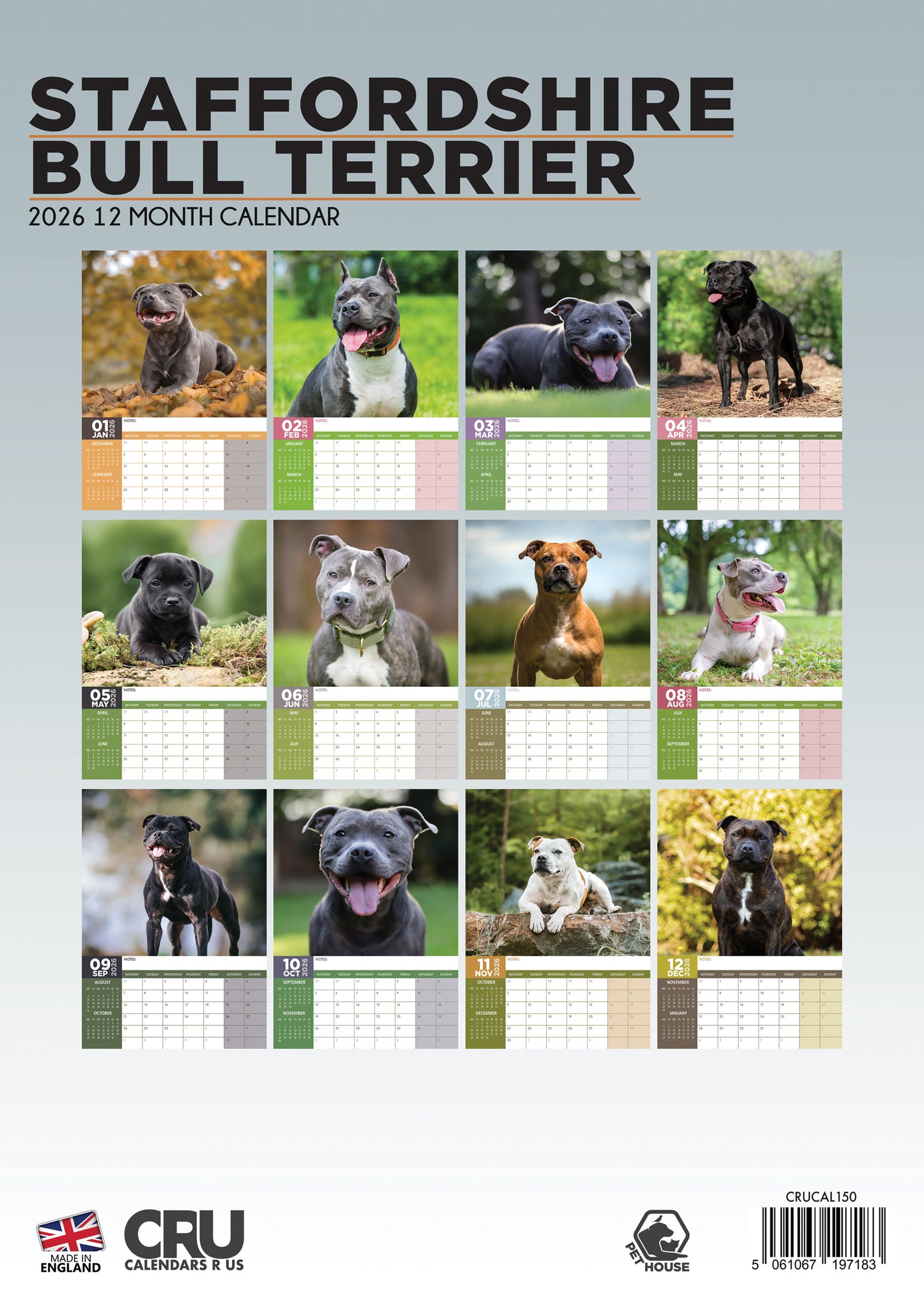 Staffordshire Bull Terrier Calendar 2026 – A Year of Strength, Loyalty & Smiles