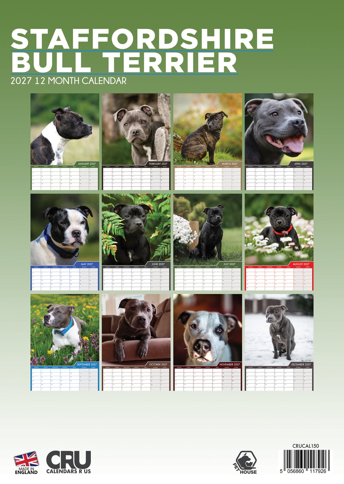 Staffordshire Bull Terrier Calendar 2027 – A Year of Strength, Loyalty & Smiles