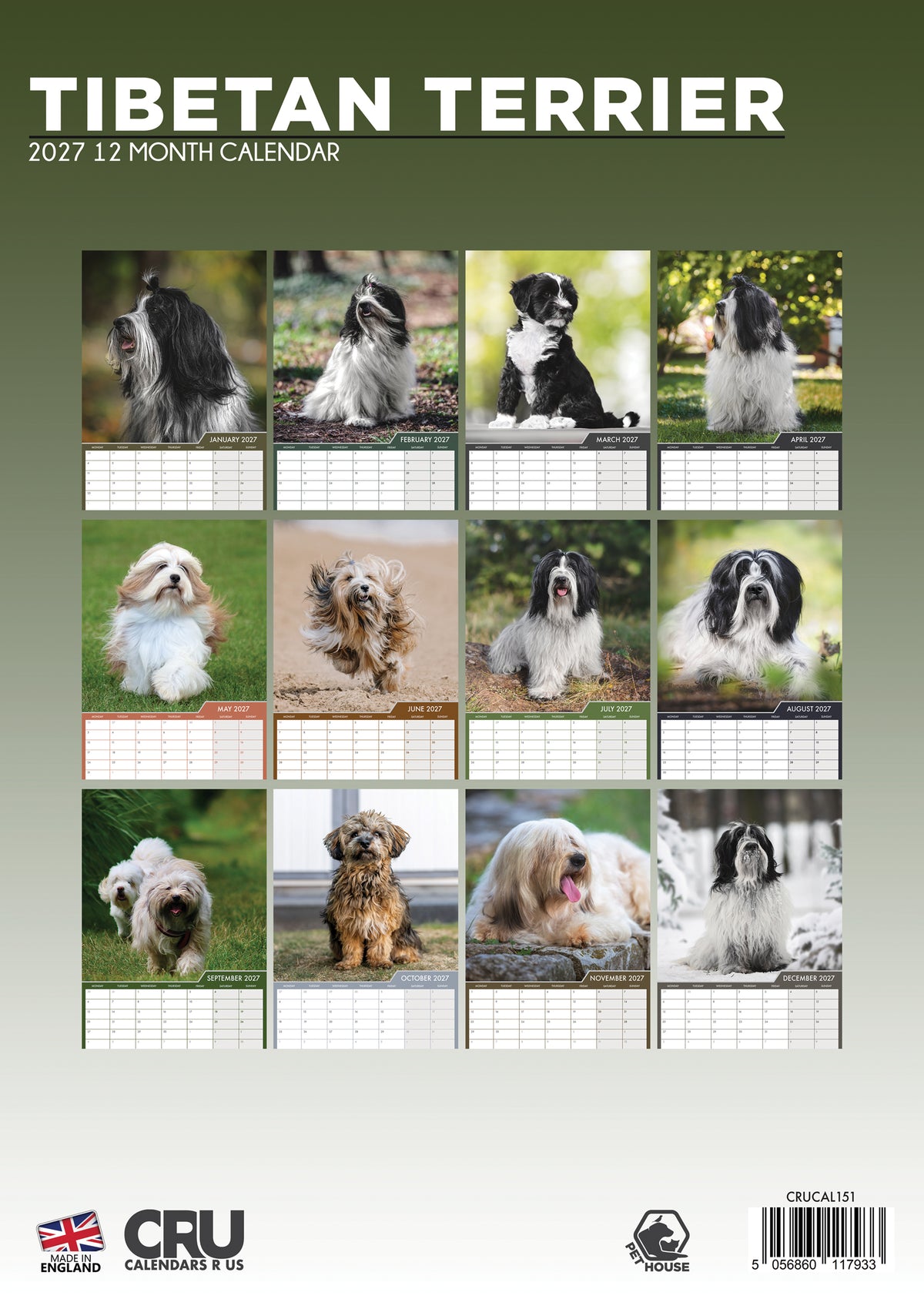 Tibetan Terrier Calendar 2027 – A Year of Fluffy Charm and Loyal Companionship
