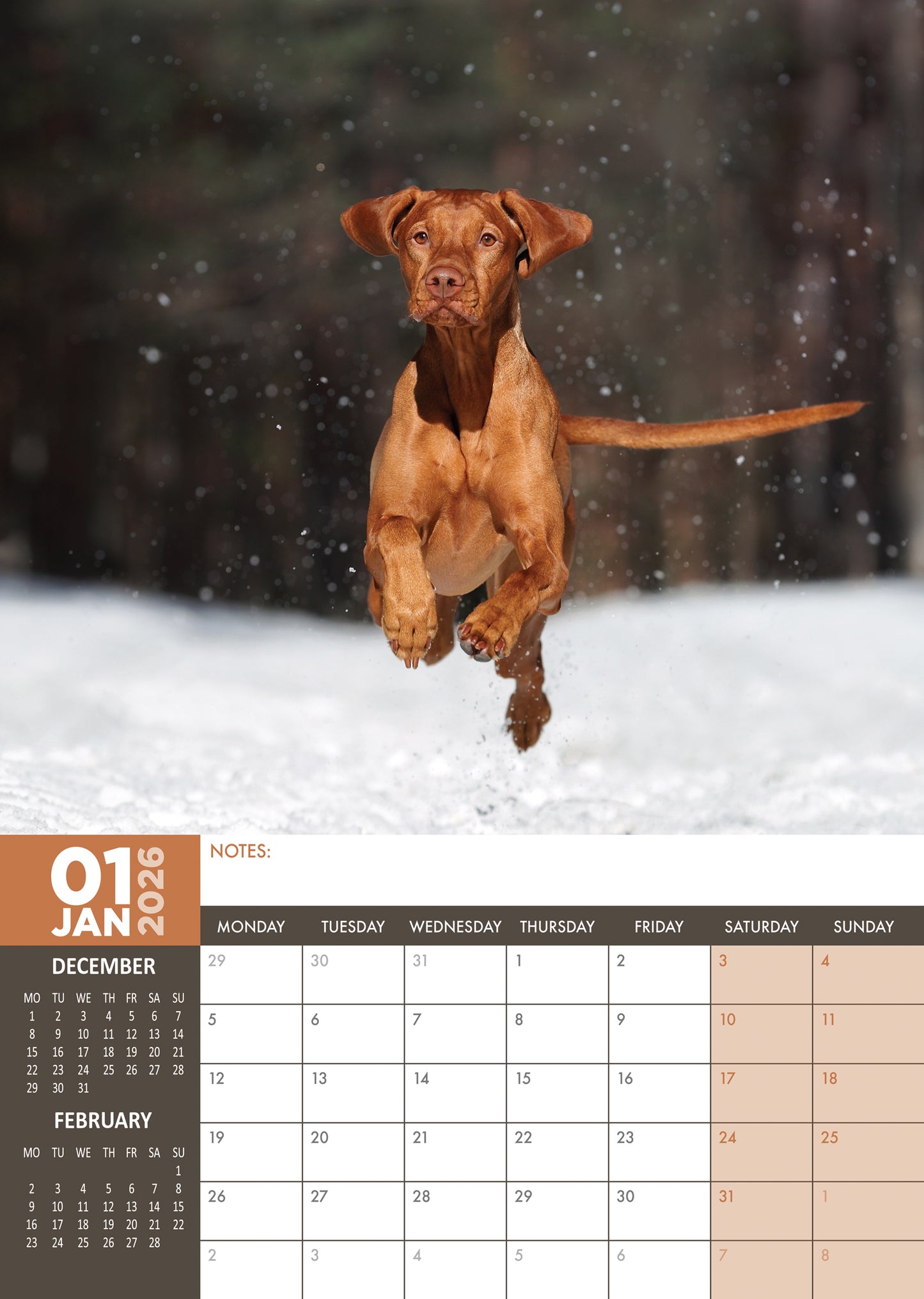 Vizsla Calendar 2026 – A Year of Grace, Loyalty, and Athletic Beauty