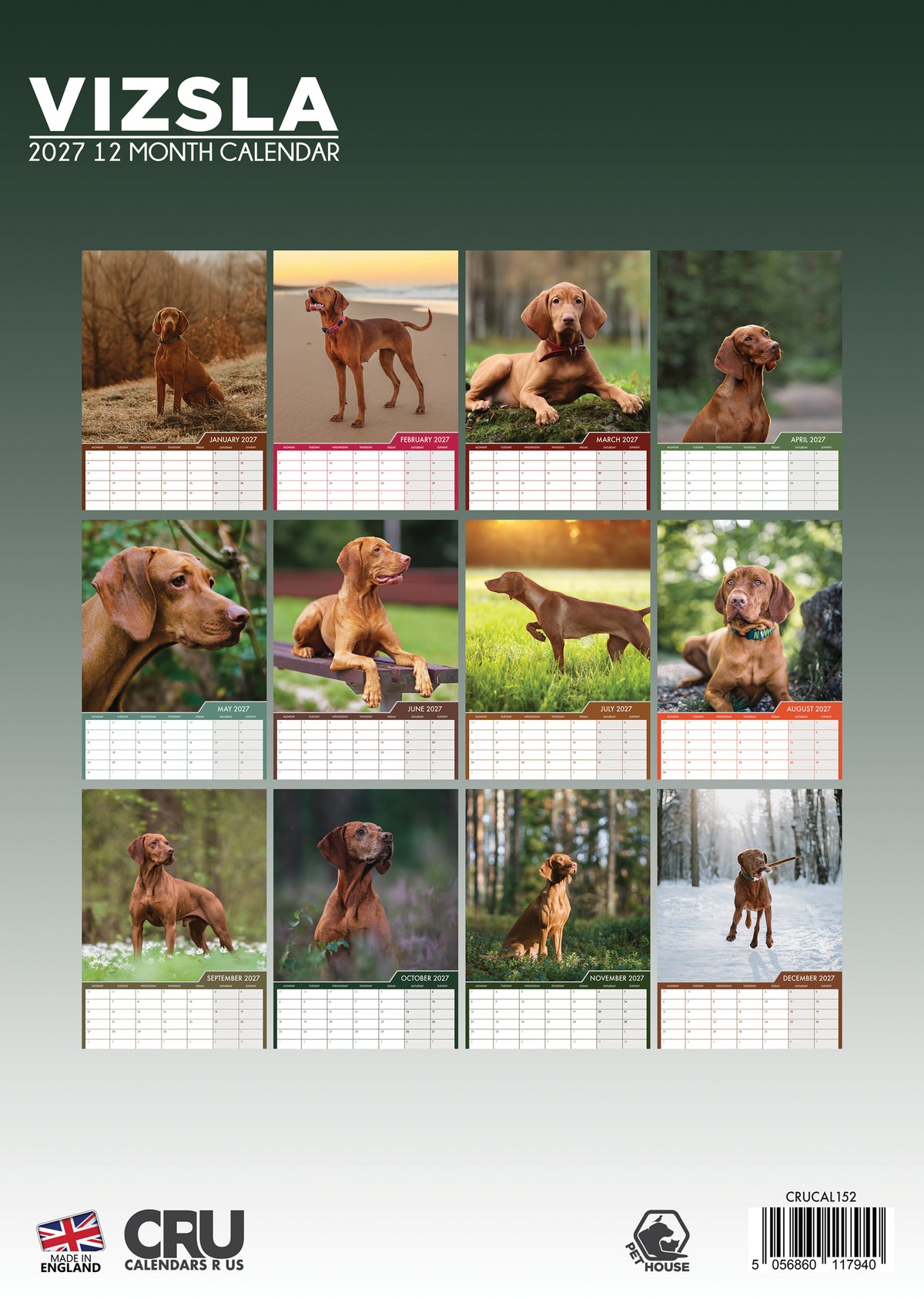 Vizsla Calendar 2027 – A Year of Grace, Loyalty, and Athletic Beauty
