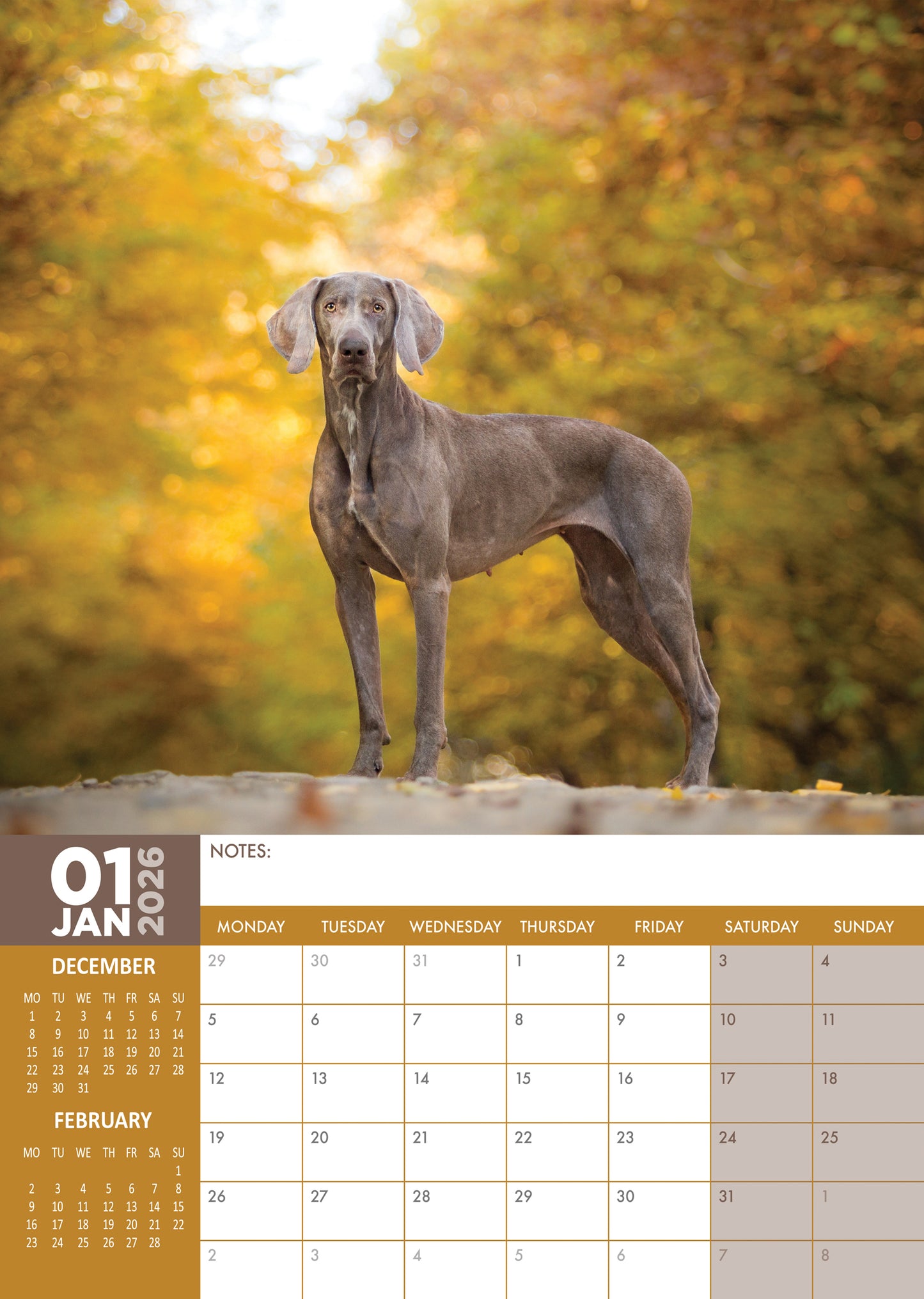 Weimaraner Calendar 2026 – Celebrate the Elegance of the Silver Ghost