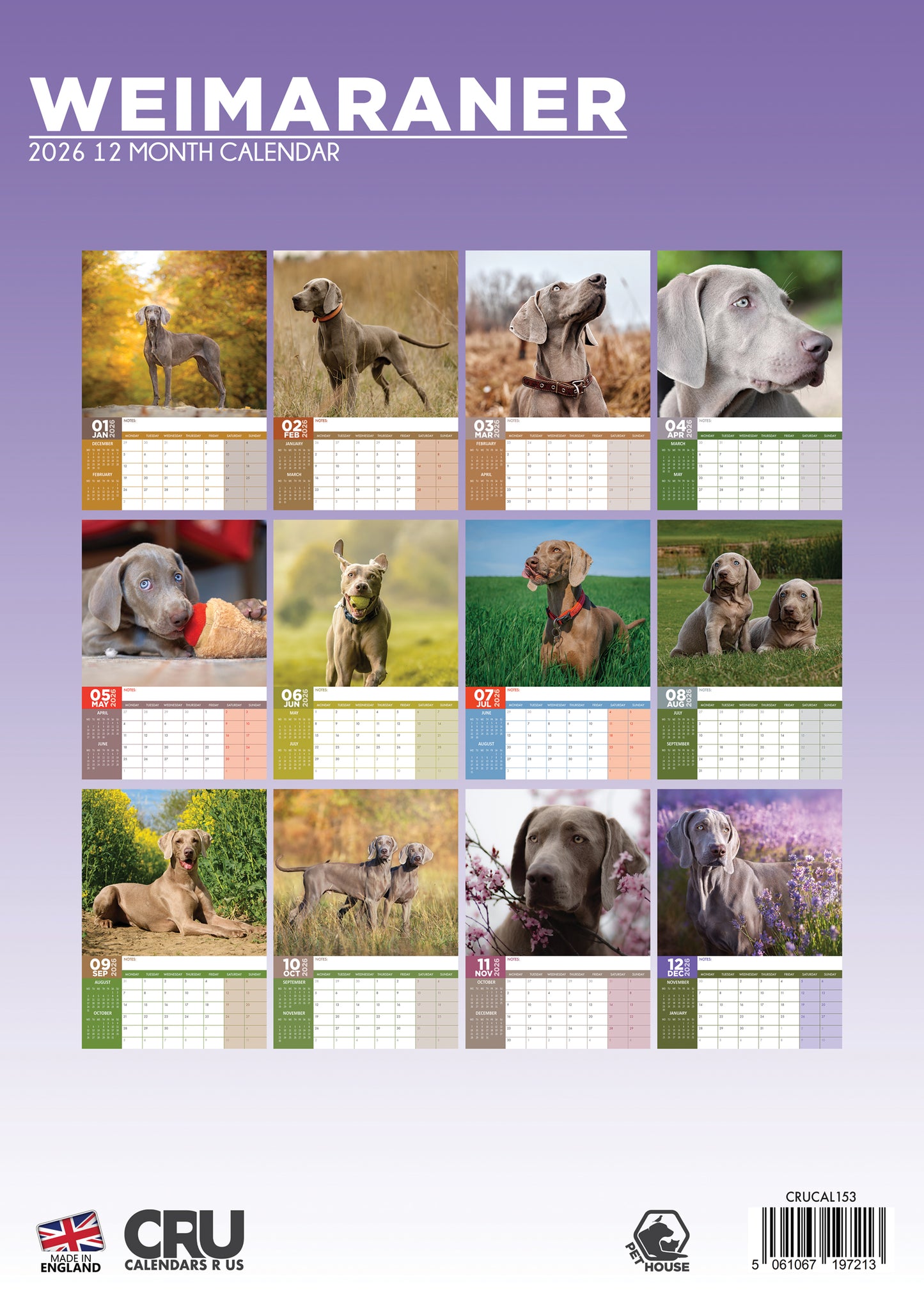 Weimaraner Calendar 2026 – Celebrate the Elegance of the Silver Ghost