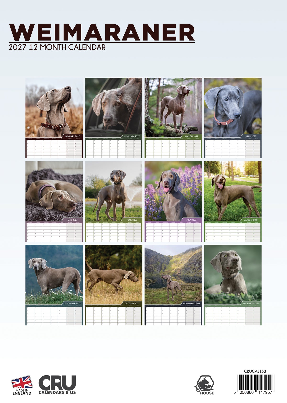 Weimaraner Calendar 2027 – Celebrate the Elegance of the Silver Ghost