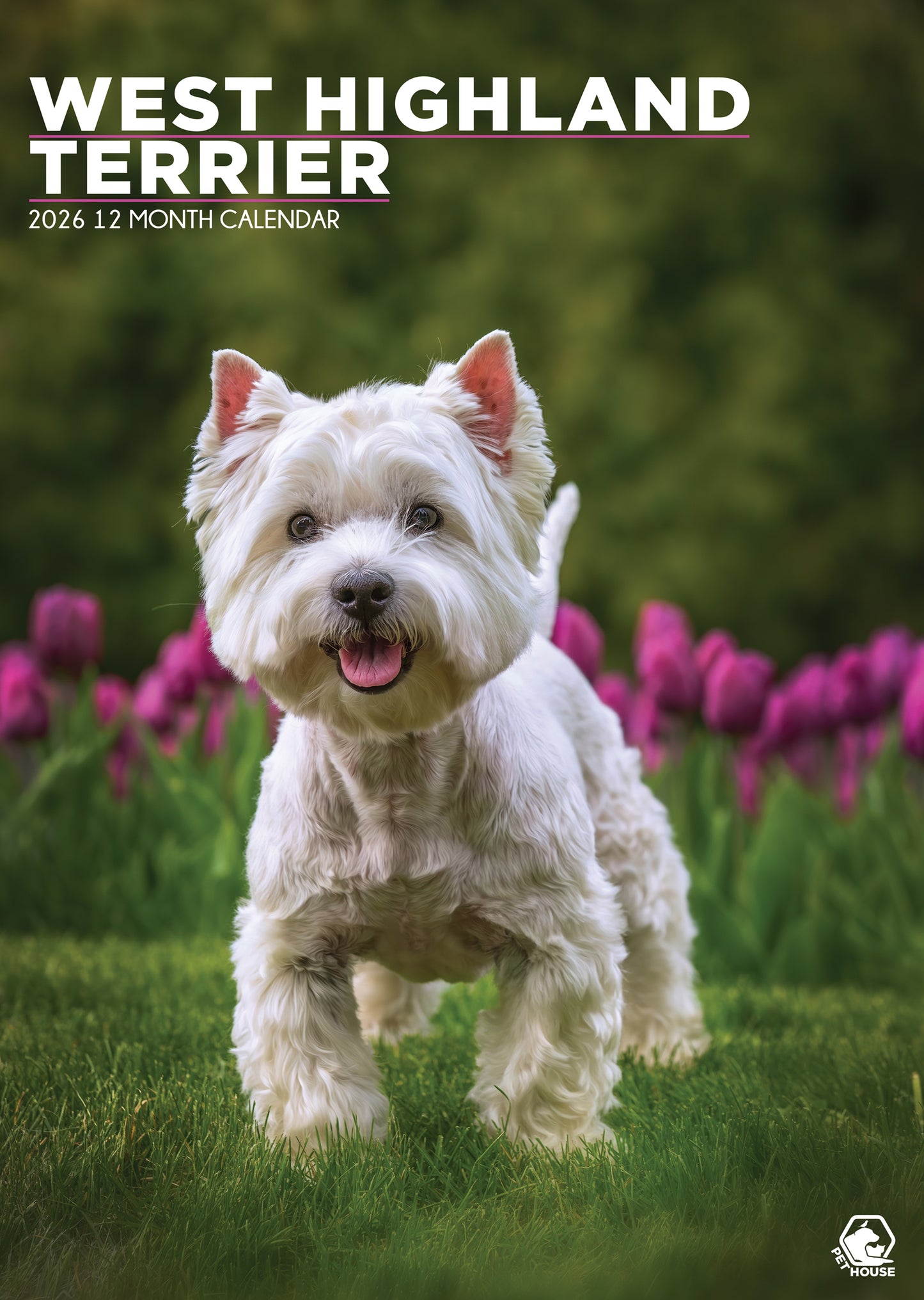 West Highland Terrier Calendar 2026 – A Year of Westie Charm