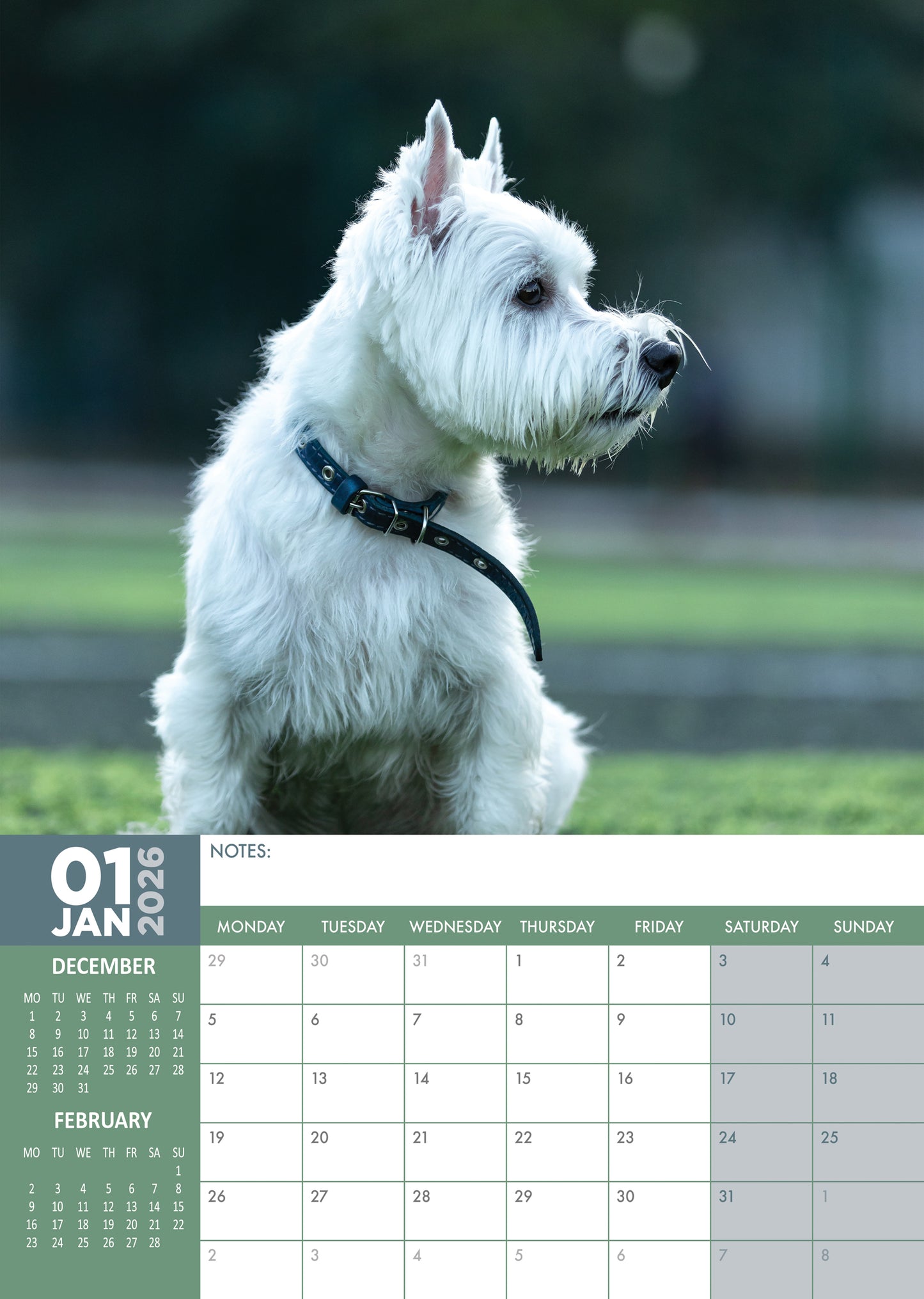 West Highland Terrier Calendar 2026 – A Year of Westie Charm
