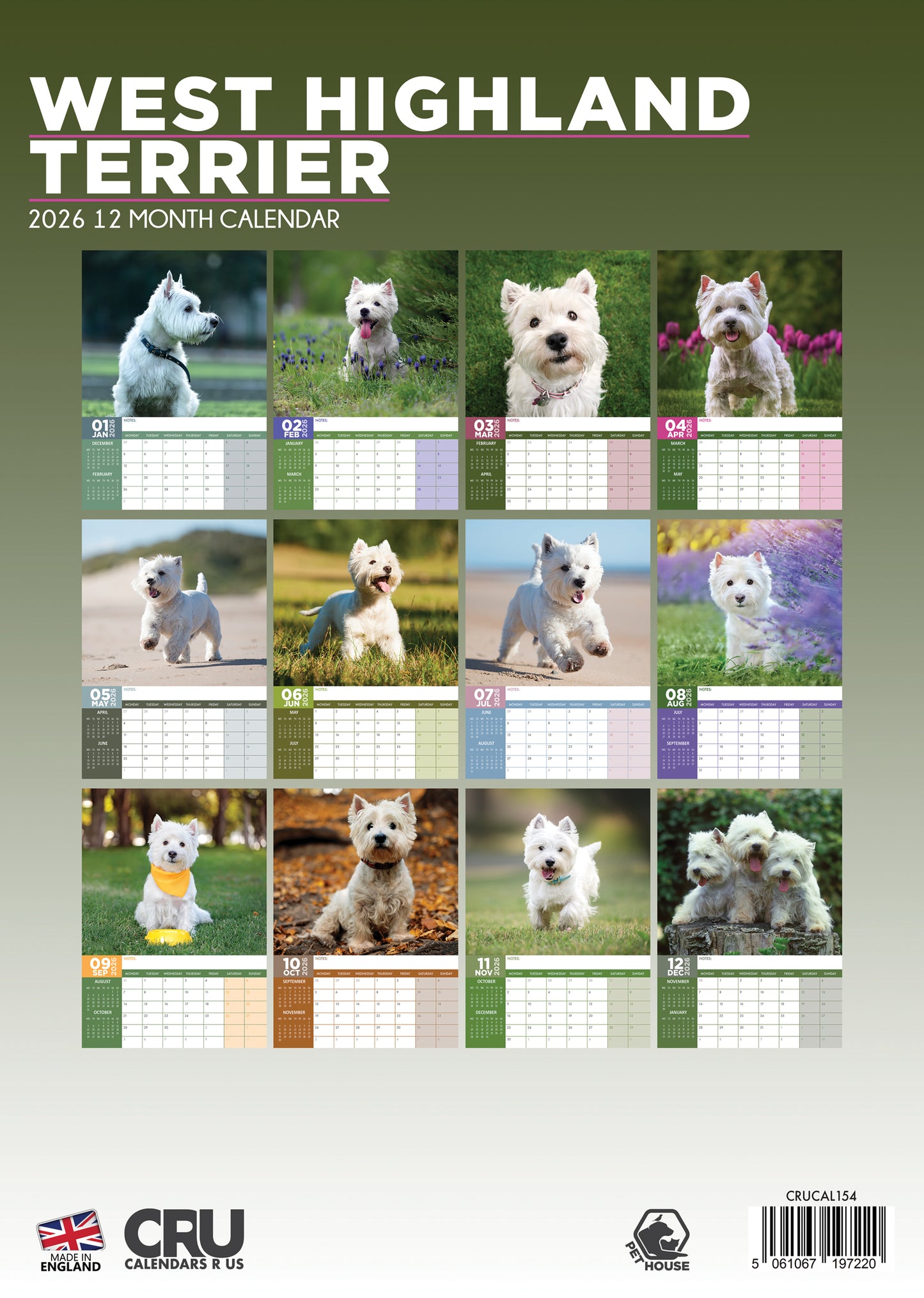West Highland Terrier Calendar 2026 – A Year of Westie Charm