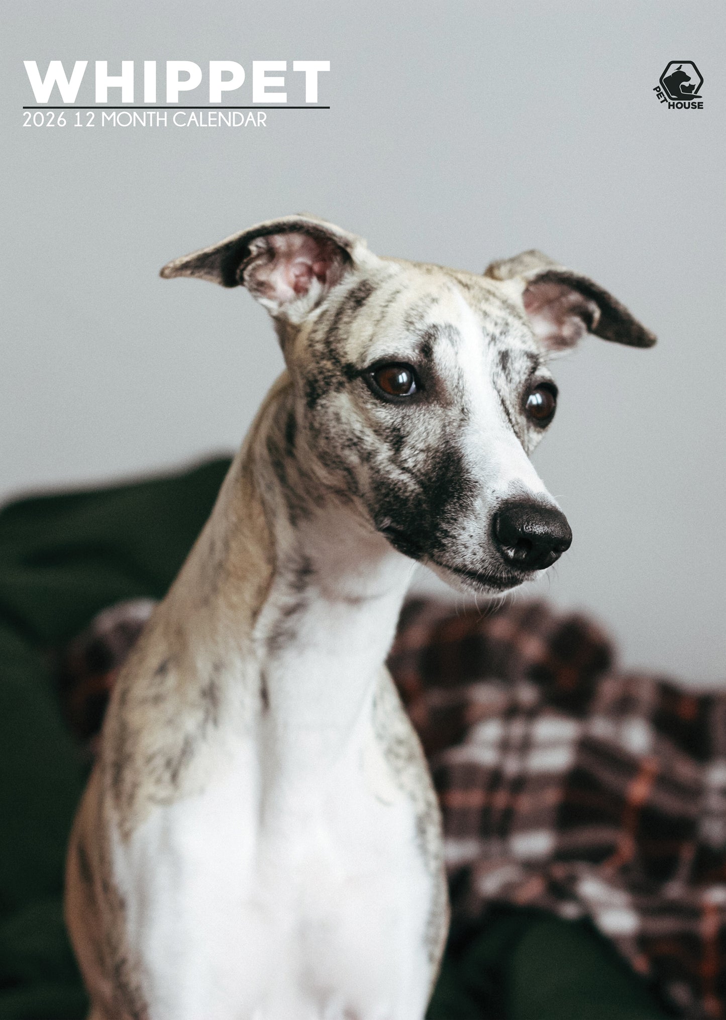 Whippet Calendar 2026 – A Year of Grace and Elegance