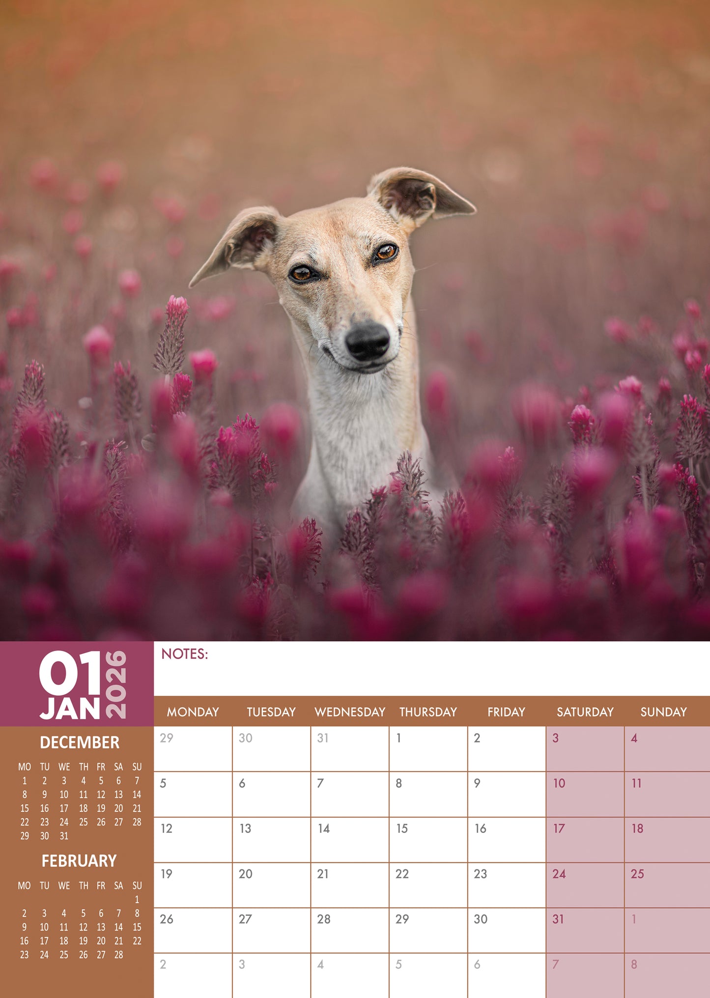 Whippet Calendar 2026 – A Year of Grace and Elegance