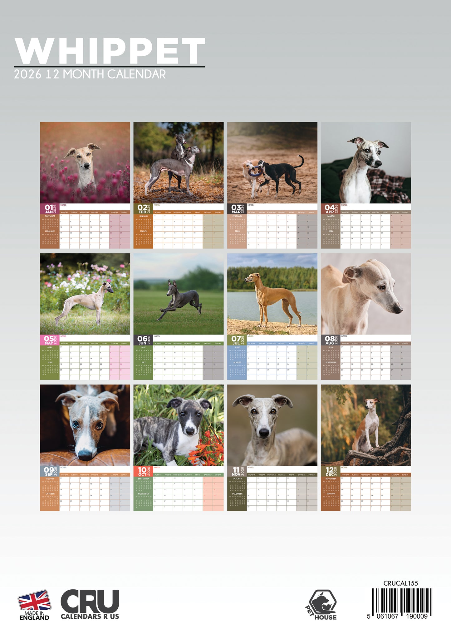 Whippet Calendar 2026 – A Year of Grace and Elegance