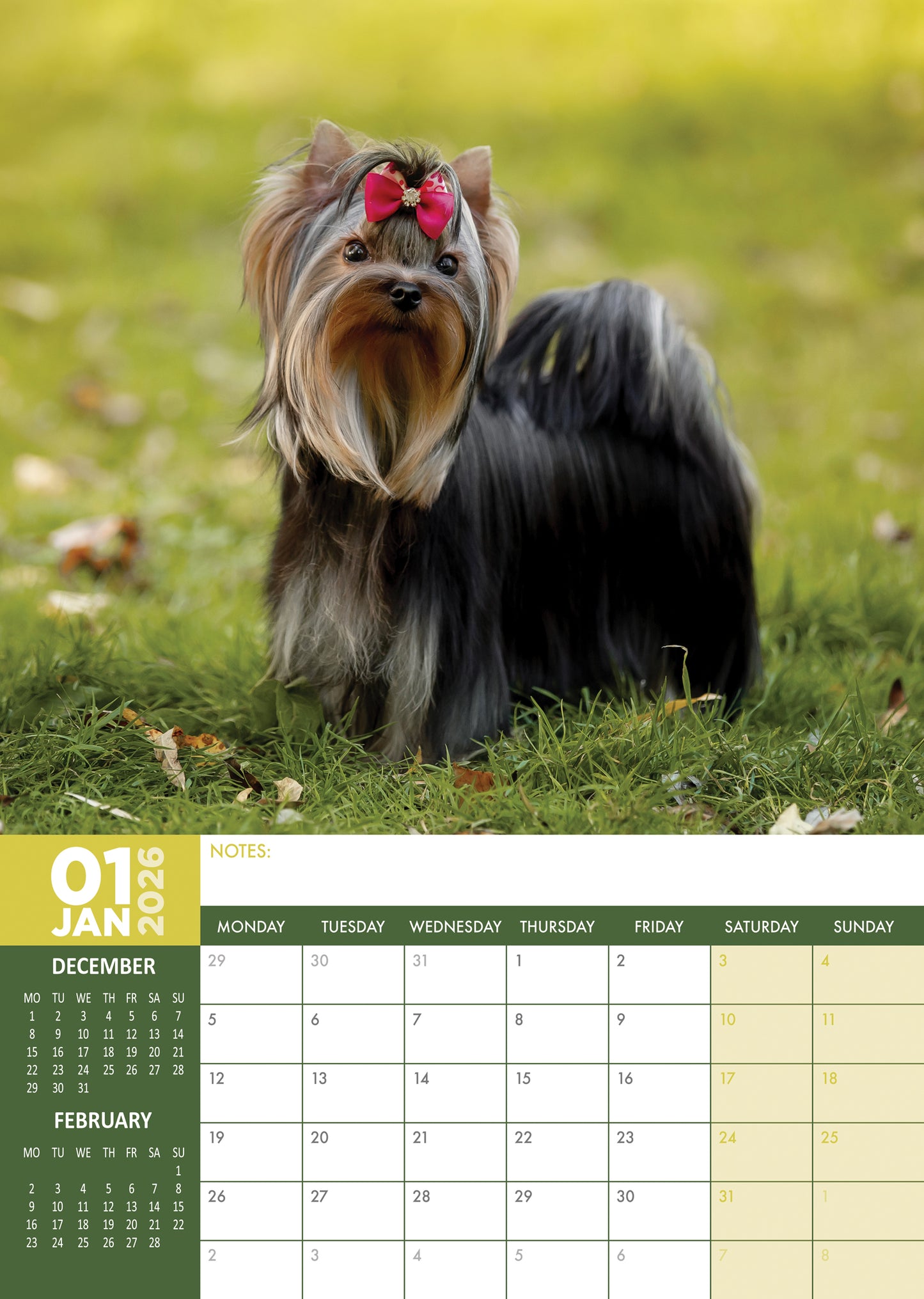 Yorkshire Terrier Calendar 2026 – A Year of Adorable Elegance