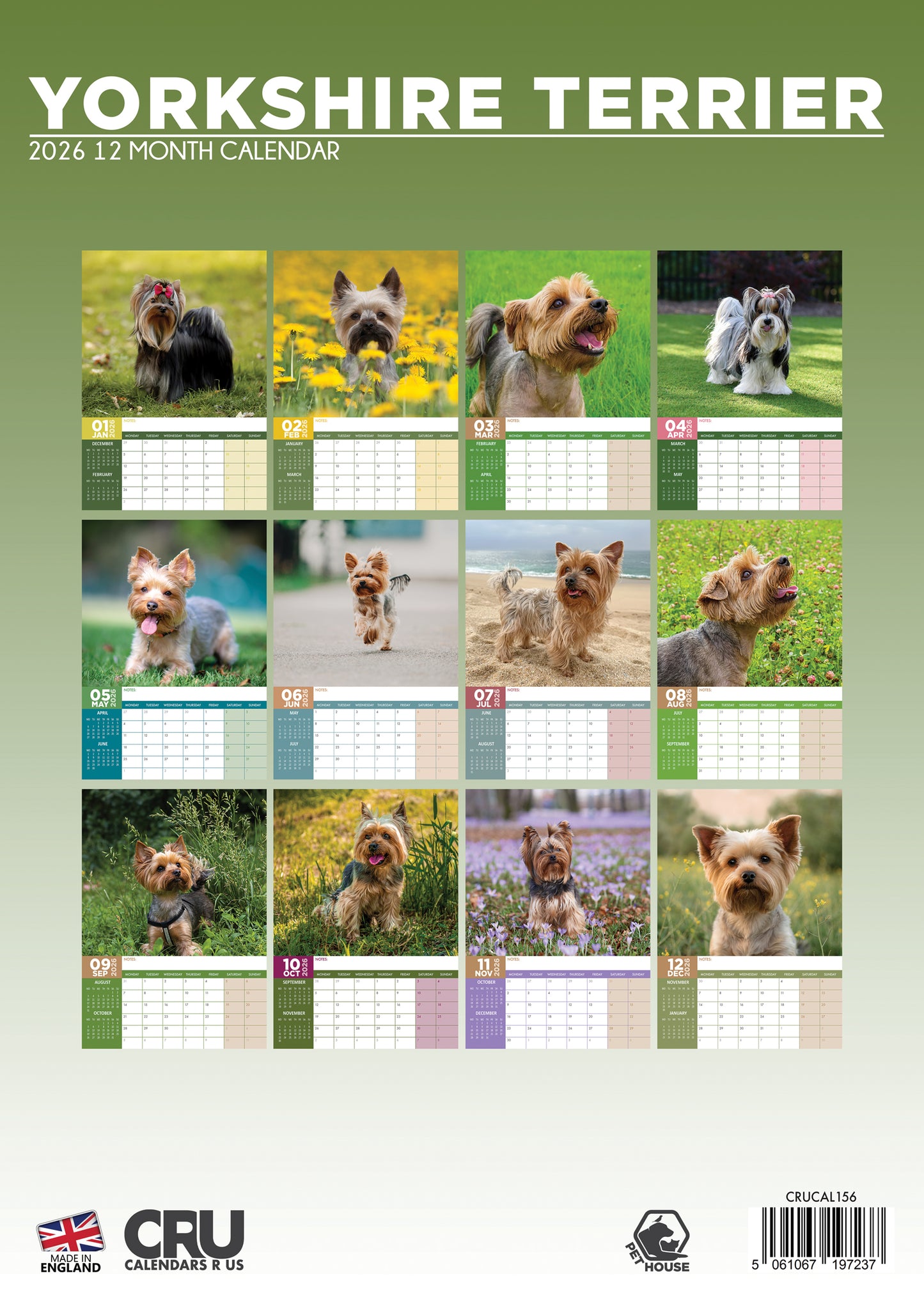 Yorkshire Terrier Calendar 2026 – A Year of Adorable Elegance