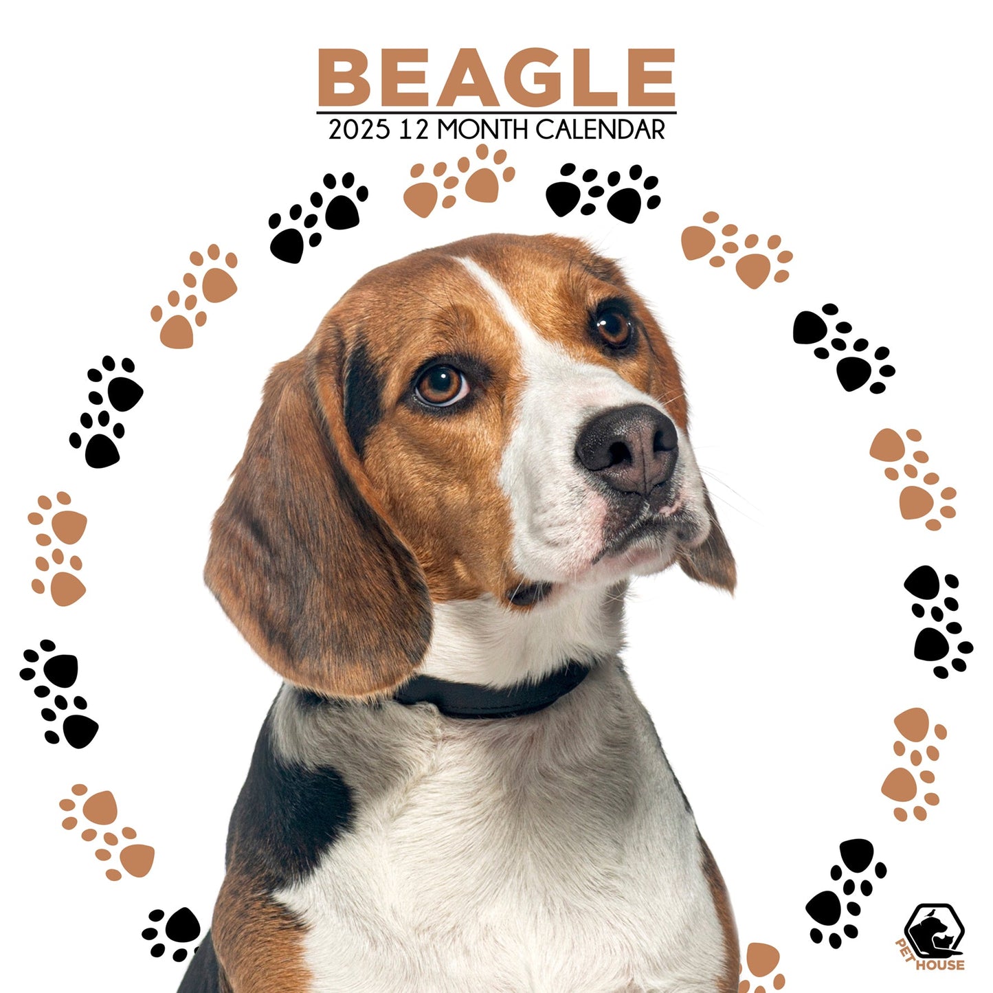 Beagle Calendar Square 2026