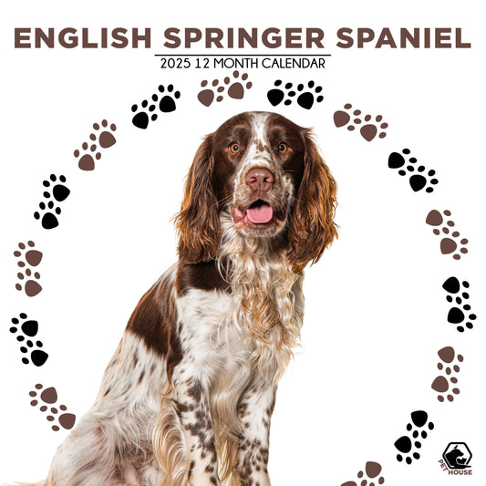 English Springer Spaniel Calendar Square 2026