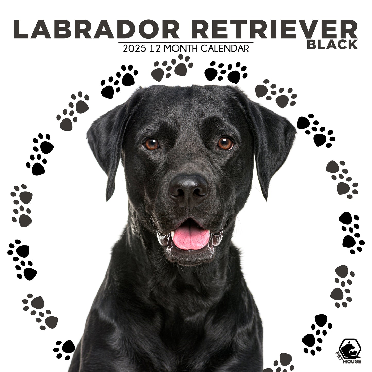 Labrador Retriever Black Calendar Square 2026