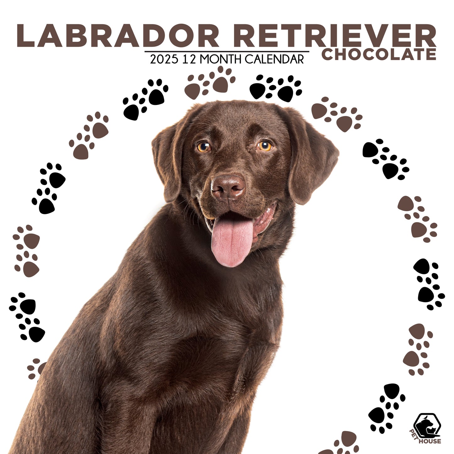 Labrador Retriever Chocolate Calendar Square 2026