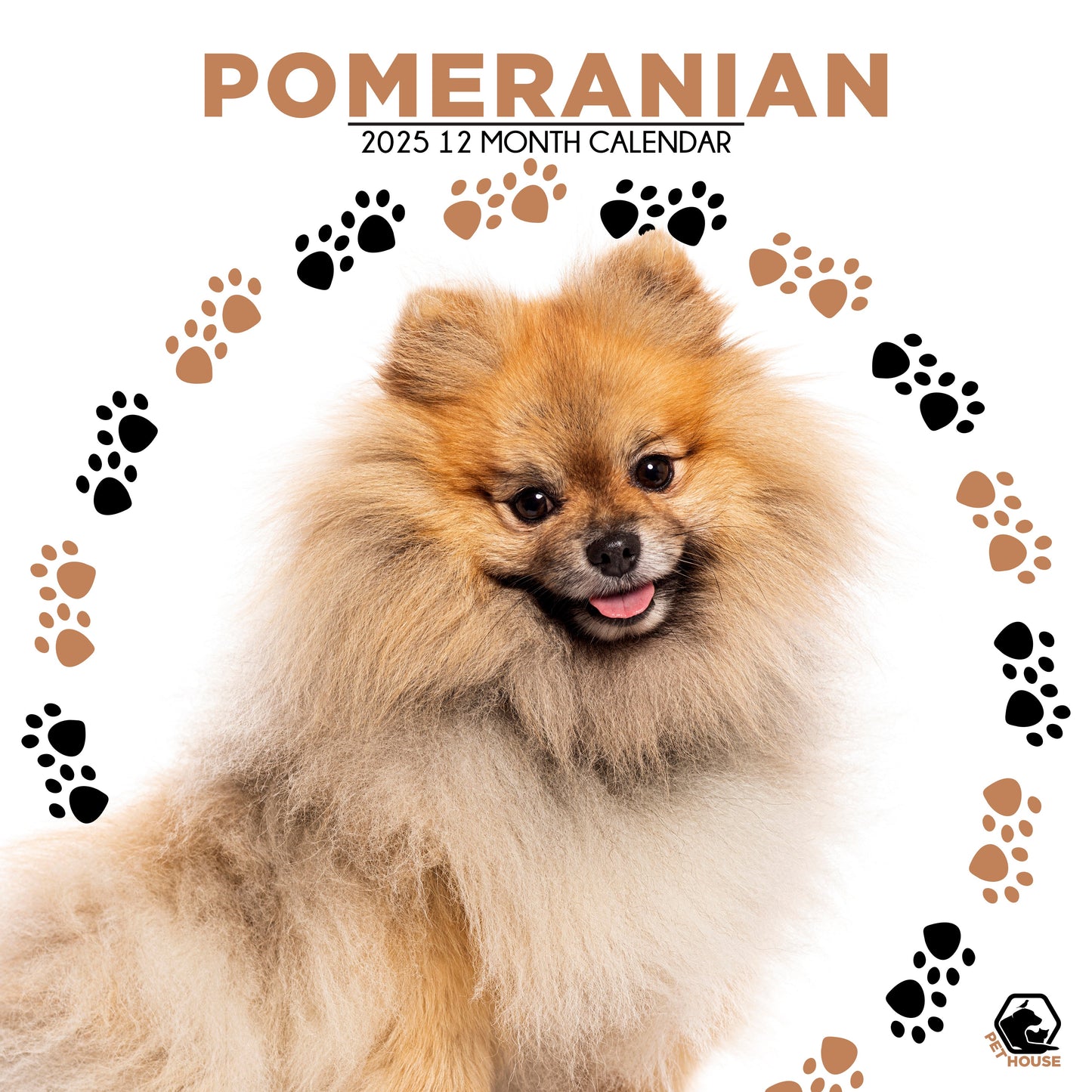 Pomeranian Calendar Square 2026